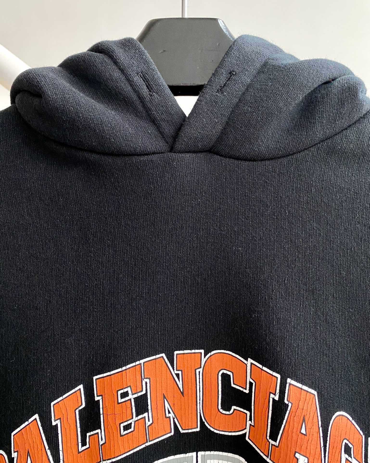 Ba1en*iaga Hoodie
