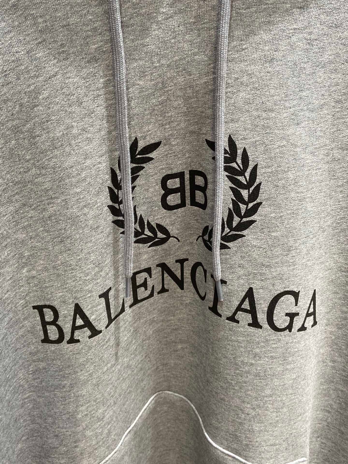 Ba1en*iaga Hoodie