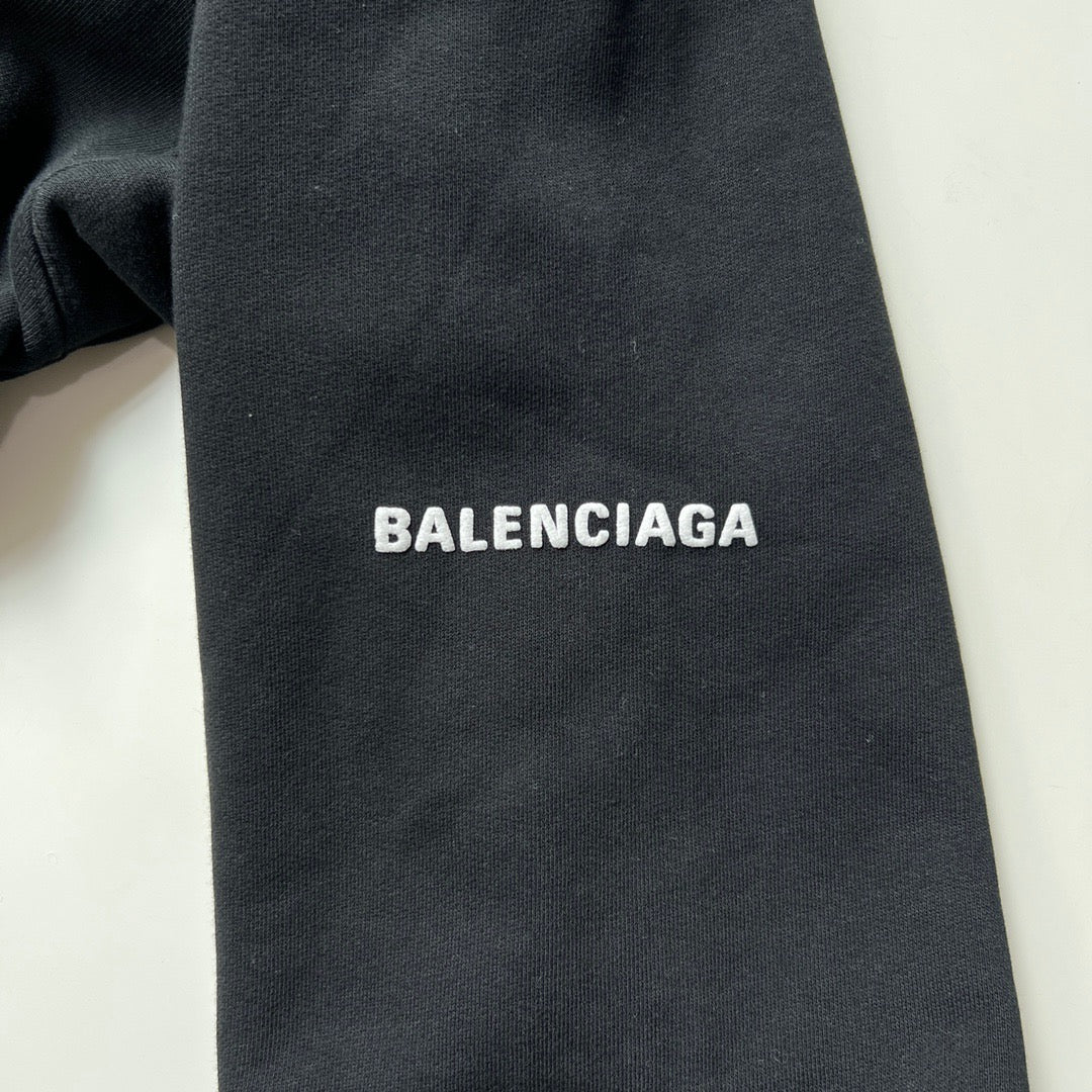 Ba1en*iaga Hoodie