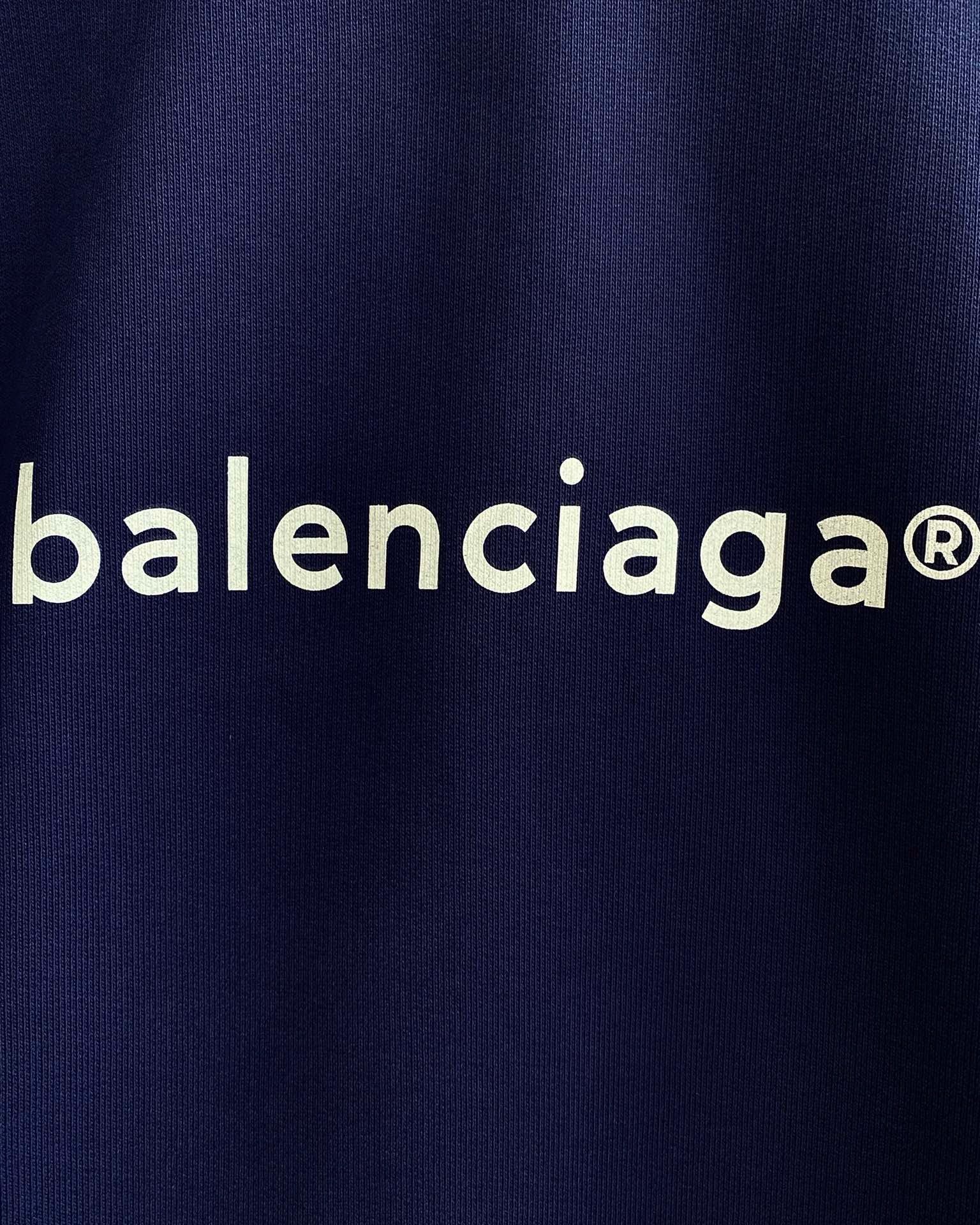 Ba1en*iaga Hoodie