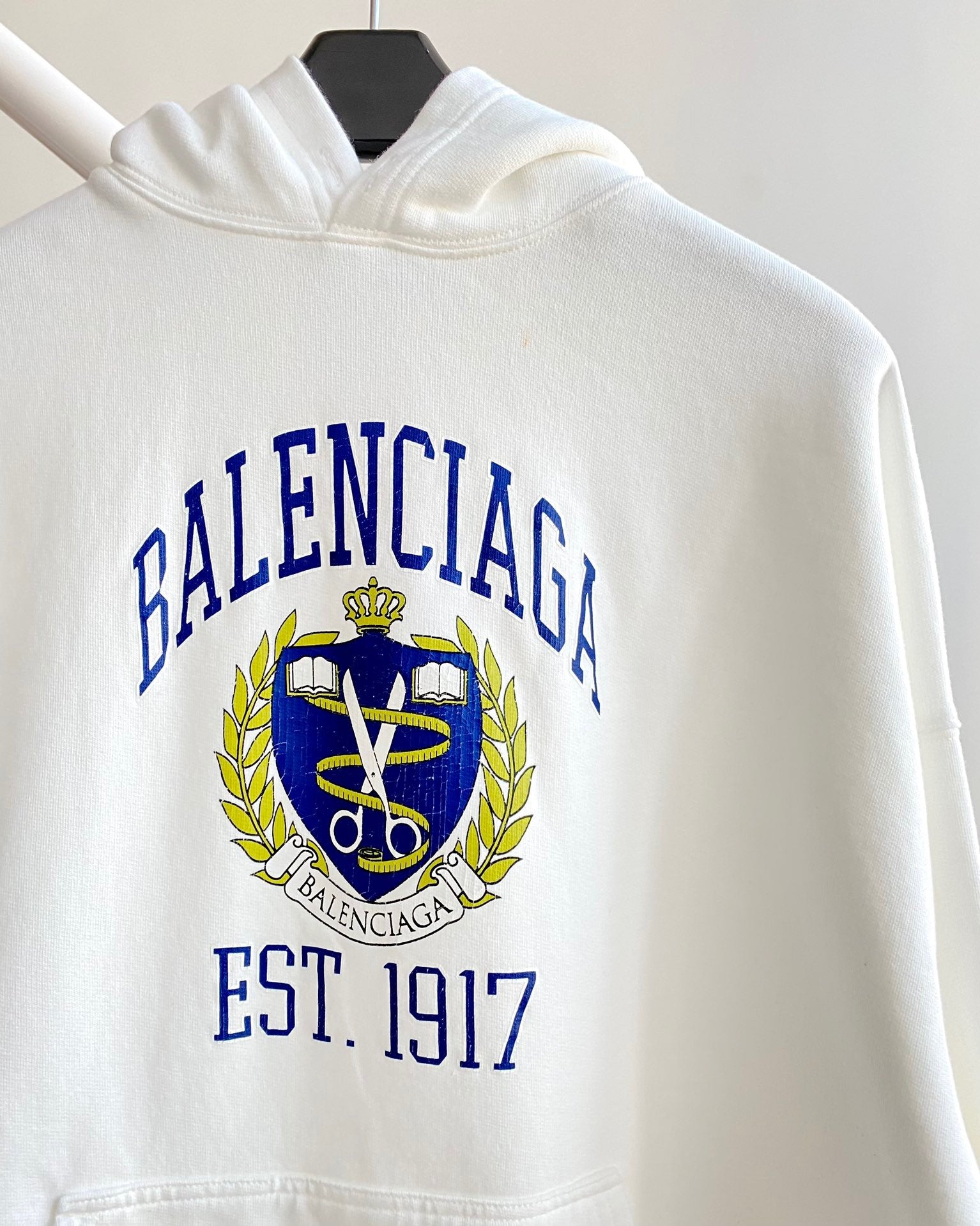 Ba1en*iaga Hoodie