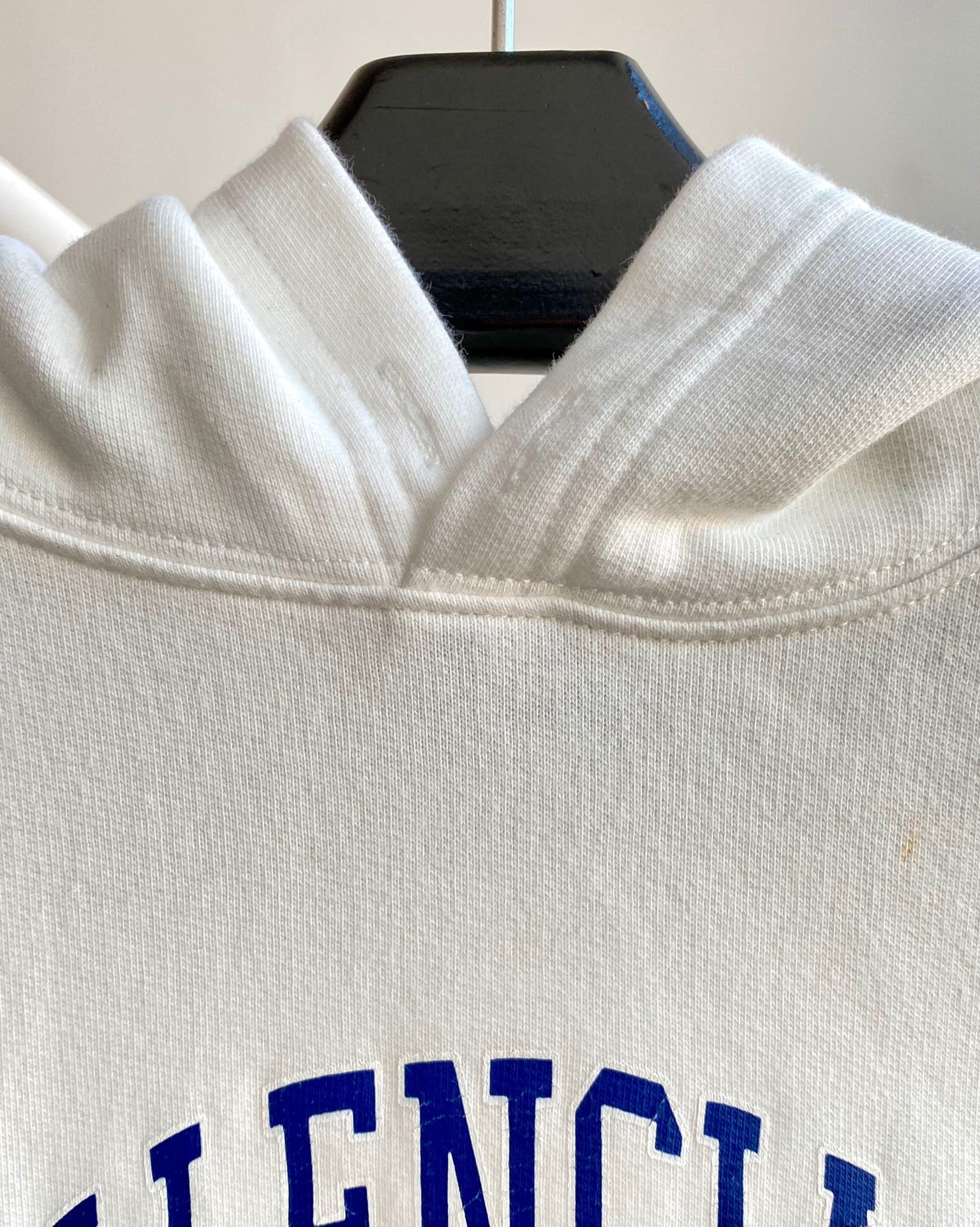 Ba1en*iaga Hoodie