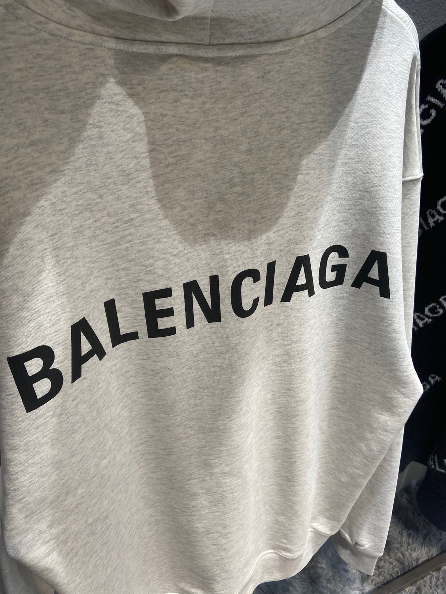Ba1en*iaga Hoodie