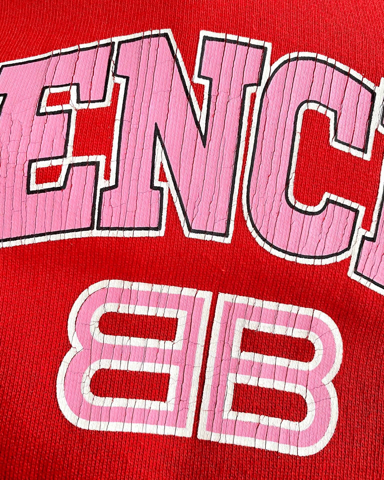 Ba1en*iaga Hoodie