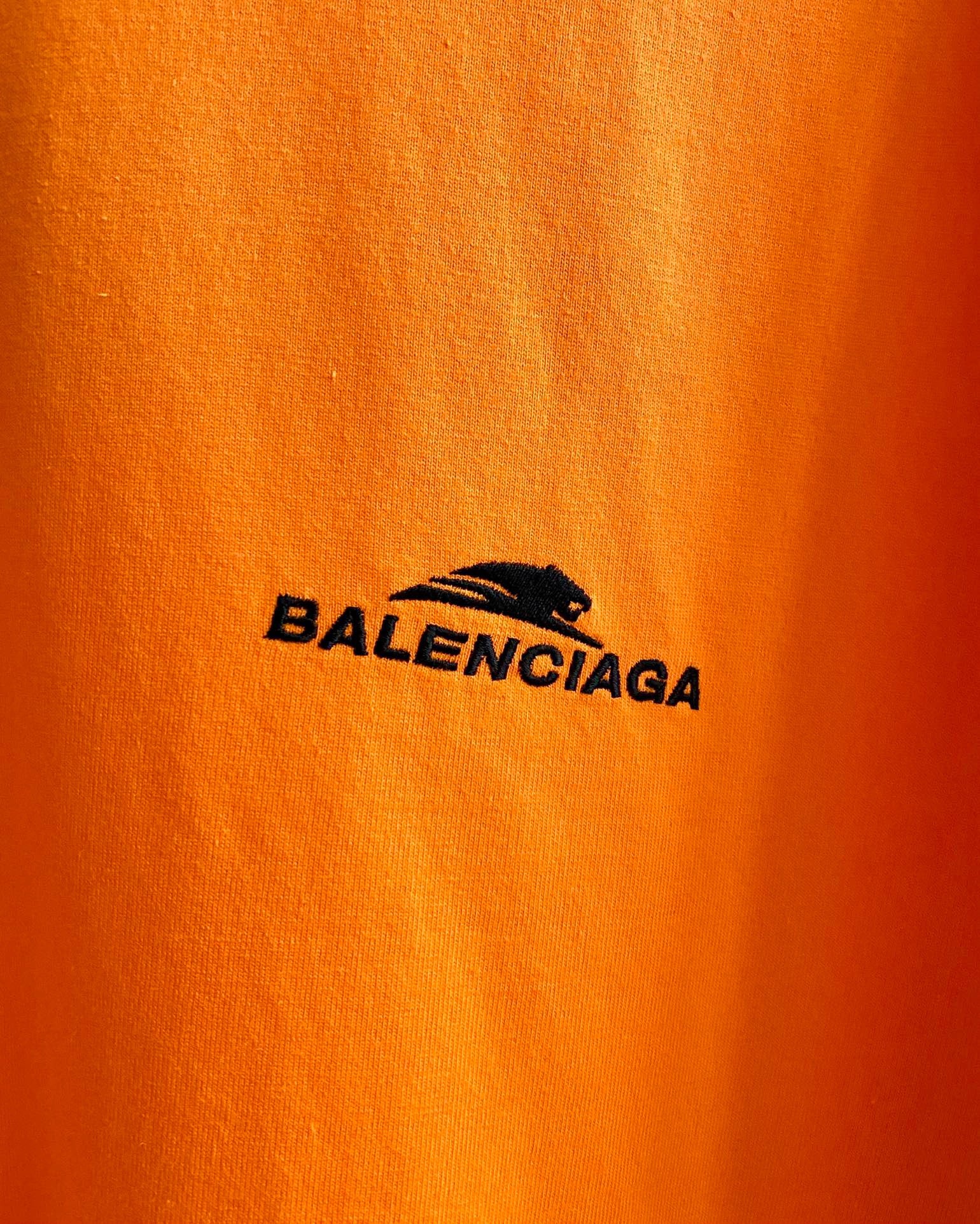 Ba1en*iaga T-shirt