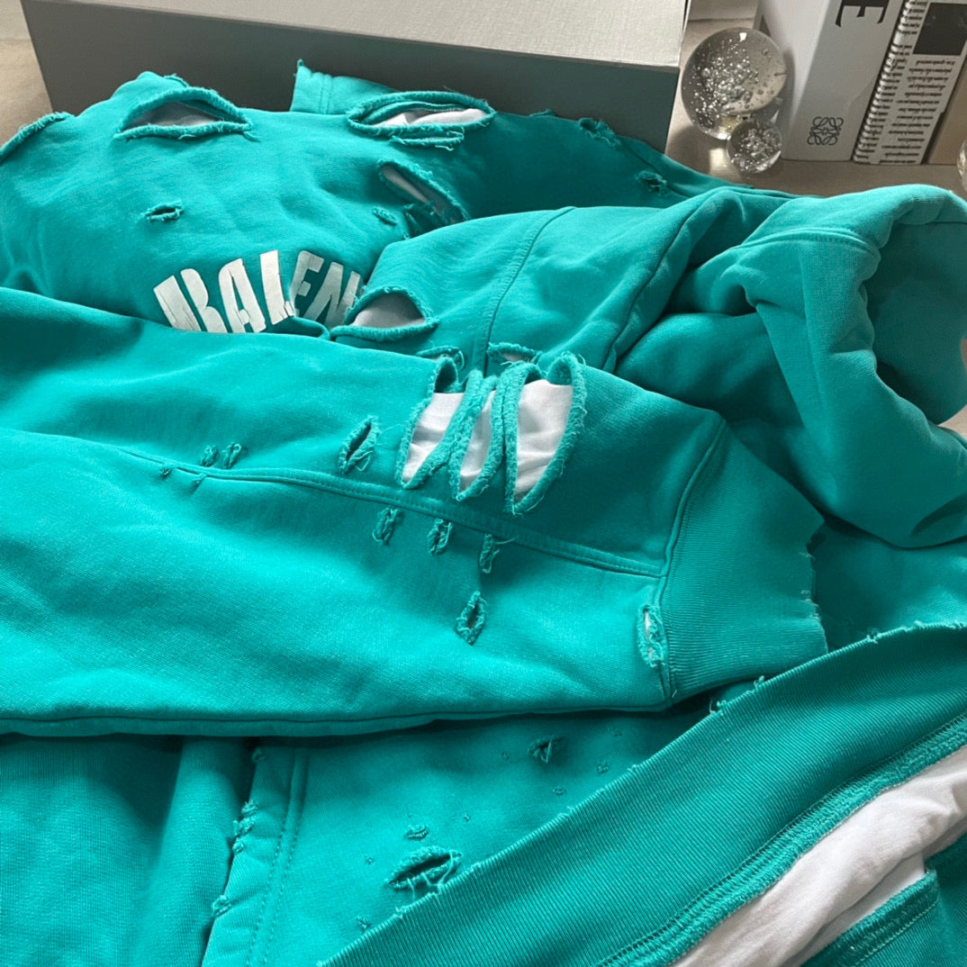 Ba1en*iaga Hoodie