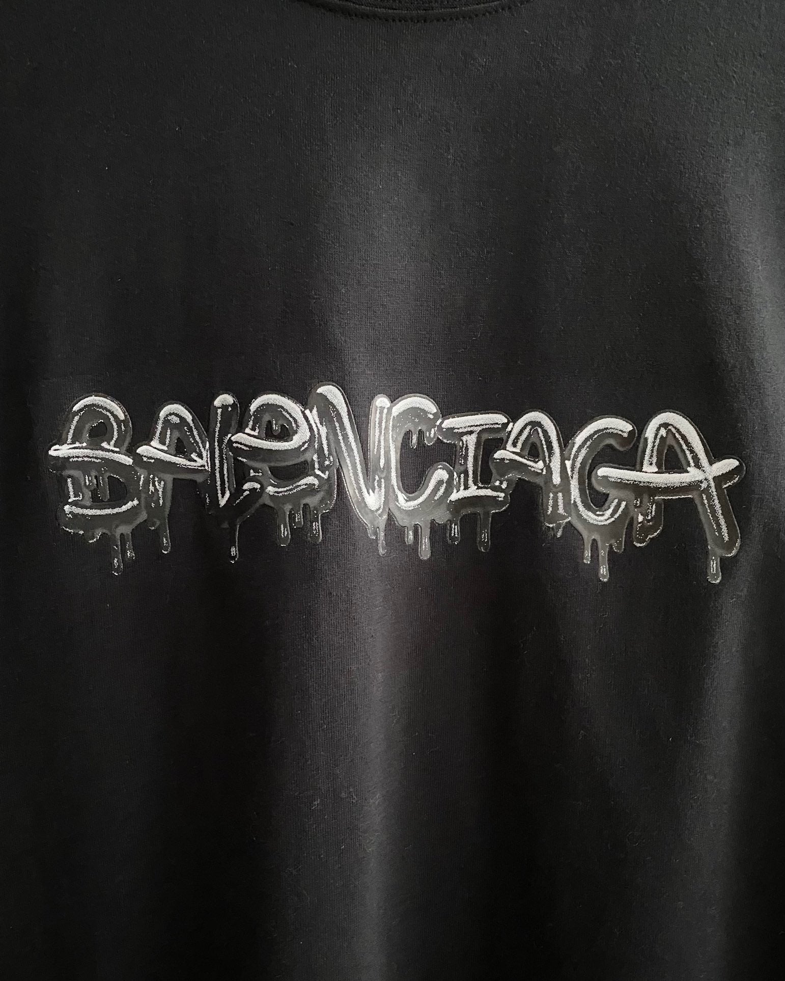 Ba1en*iaga T-shirt