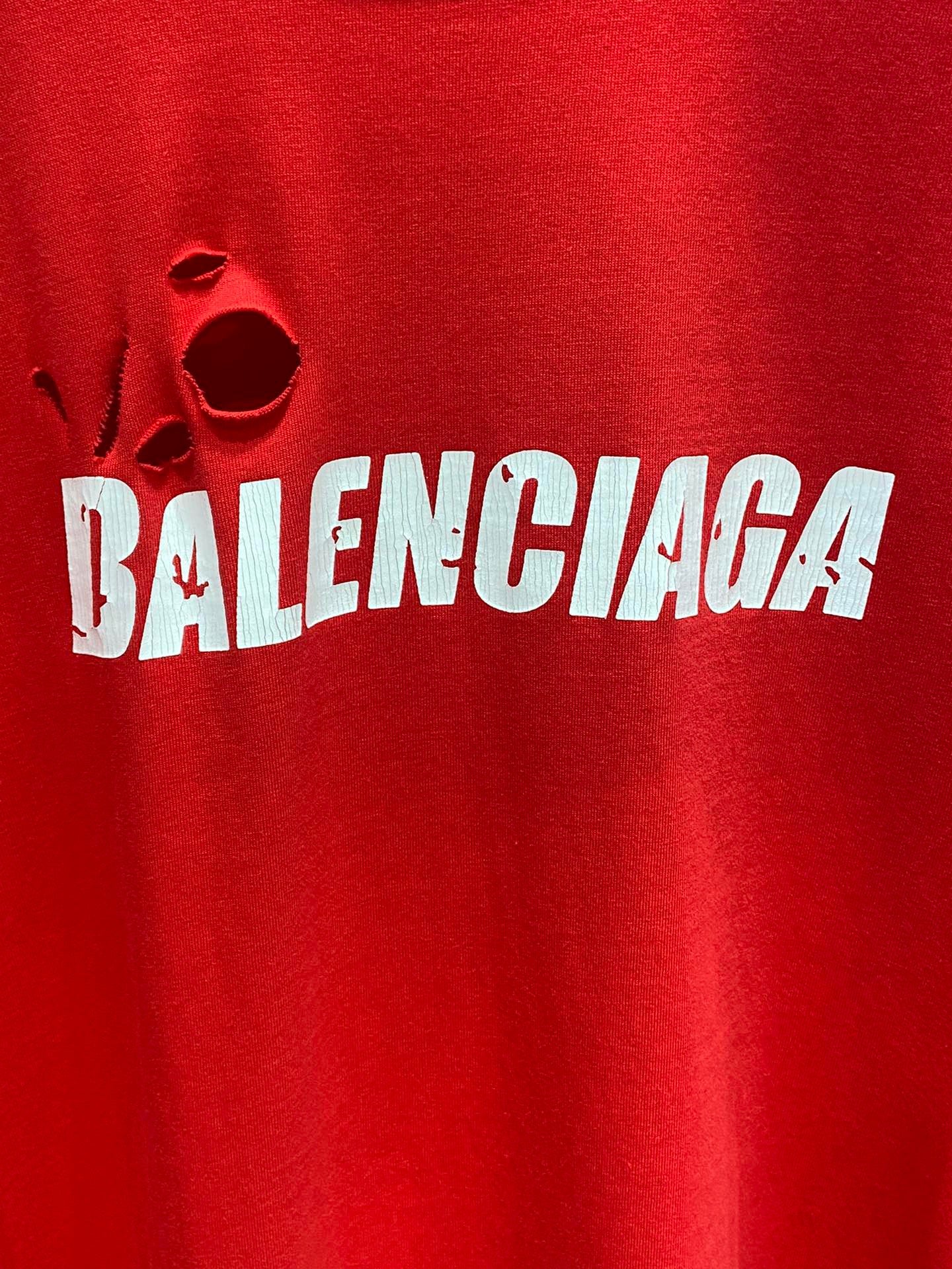 Ba1en*iaga T-shirt