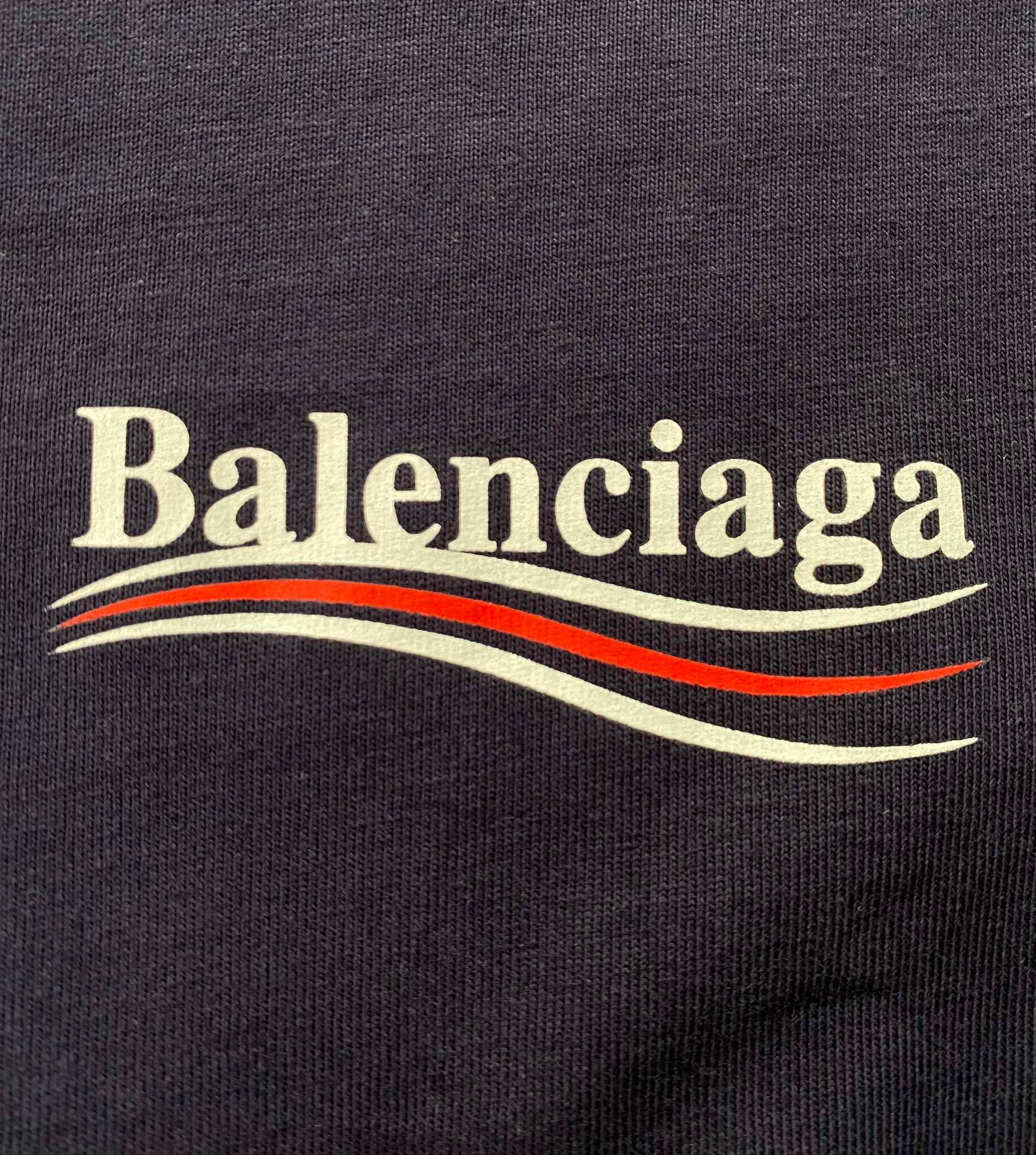 Ba1en*iaga T-shirt