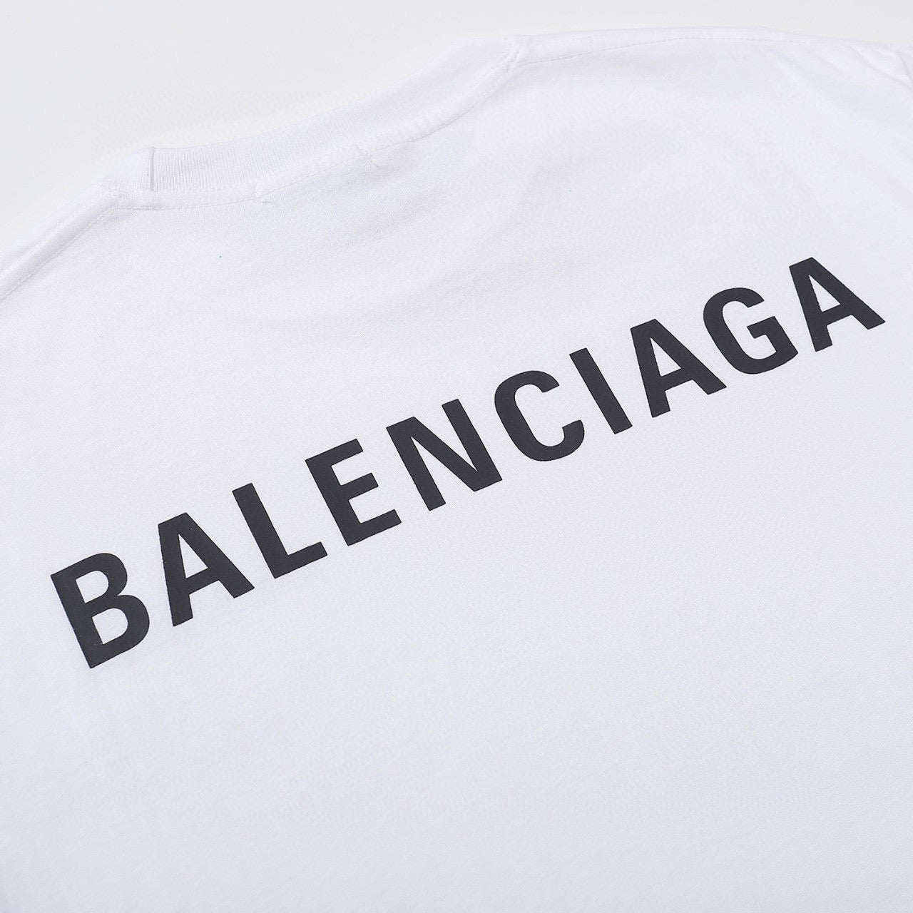 Ba1en*iaga T-shirt