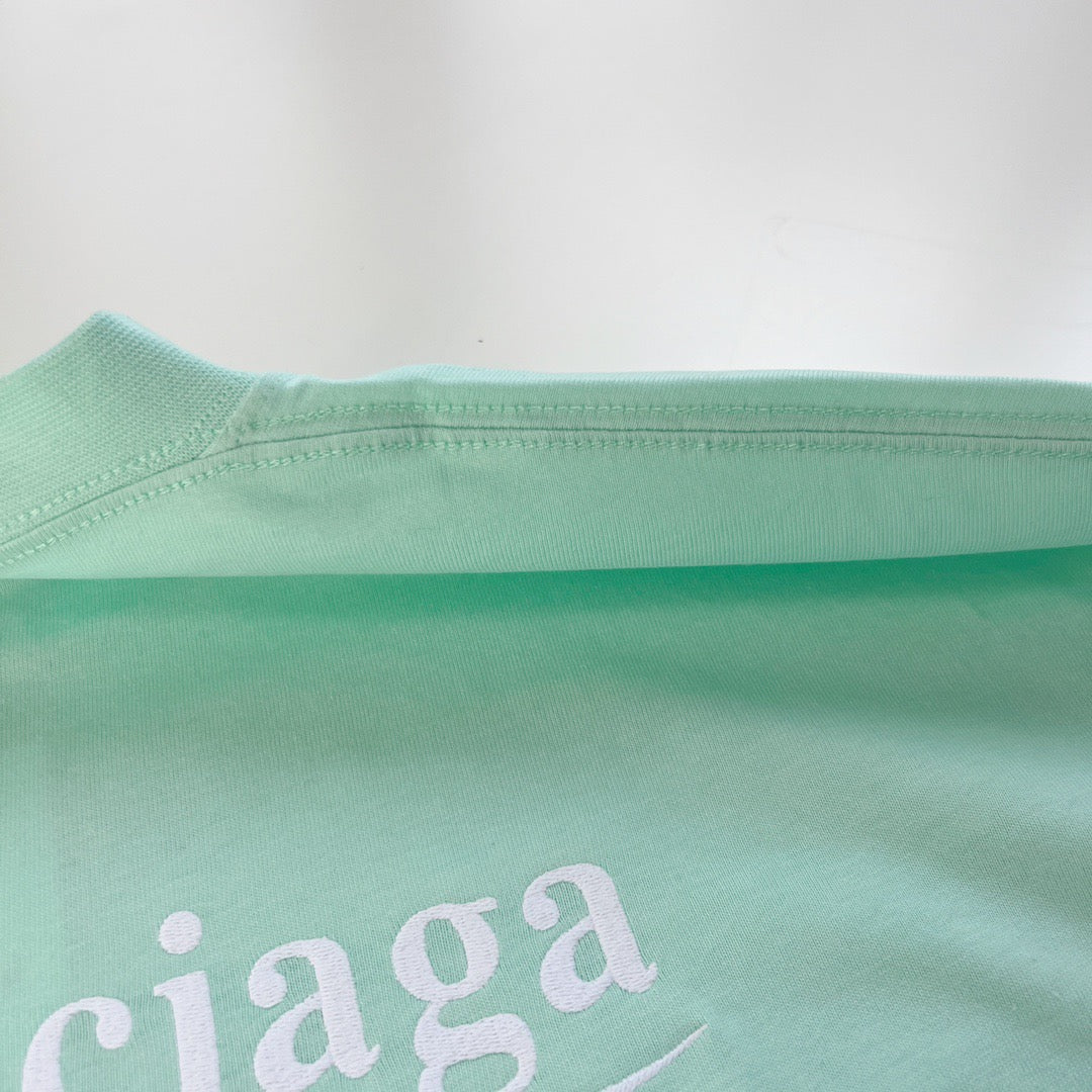 Ba1en*iaga T-shirt