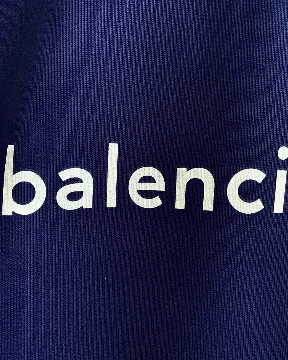 Ba1en*iaga Hoodie
