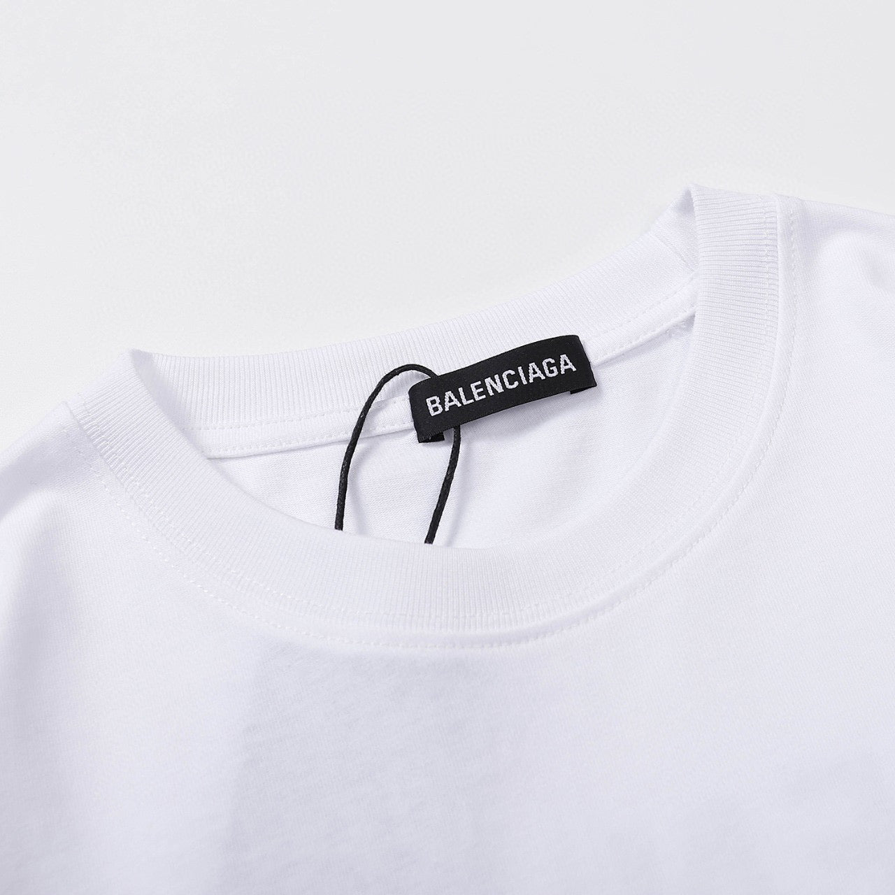 Ba1en*iaga T-shirt