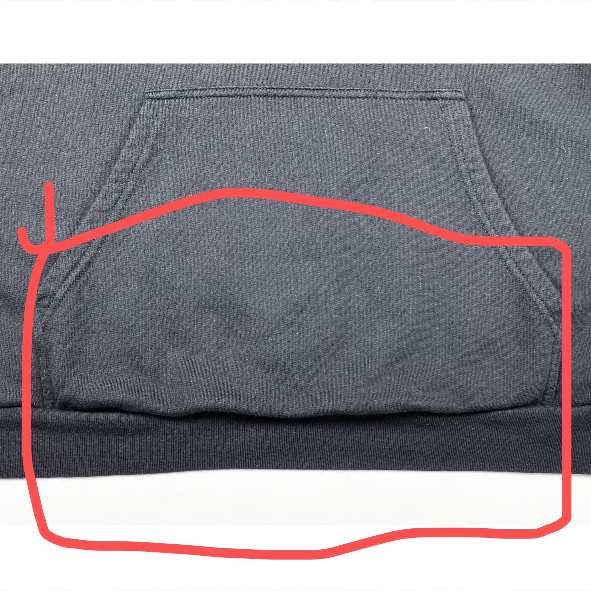 Ba1en*iaga Hoodie