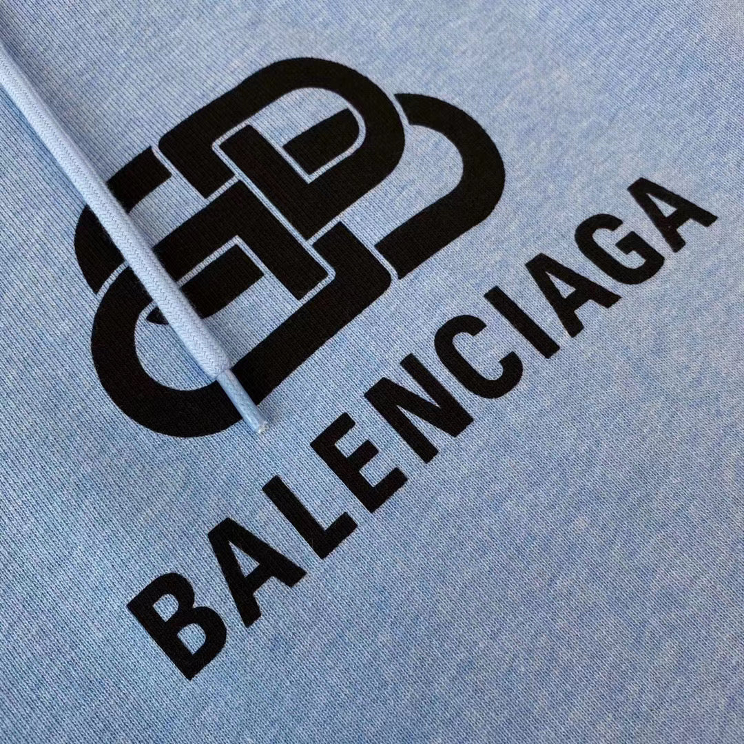 Ba1en*iaga Hoodie