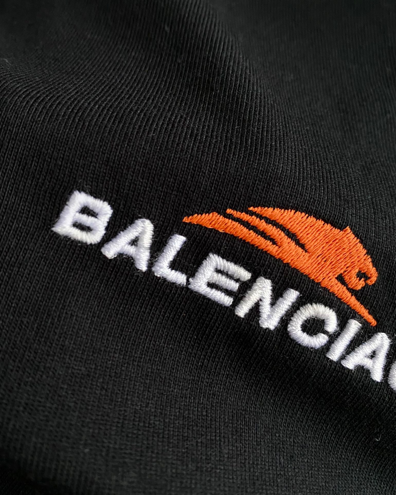 Ba1en*iaga T-shirt