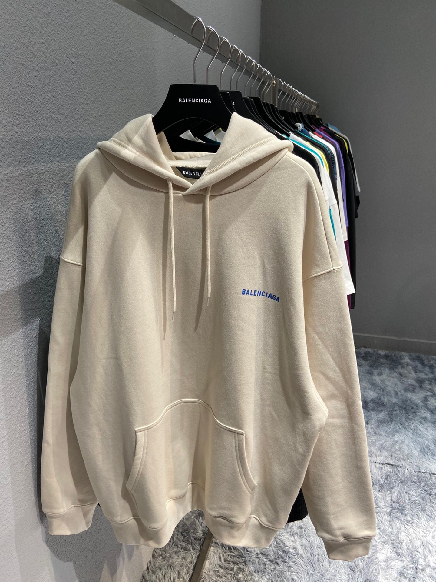 Ba1en*iaga Hoodie