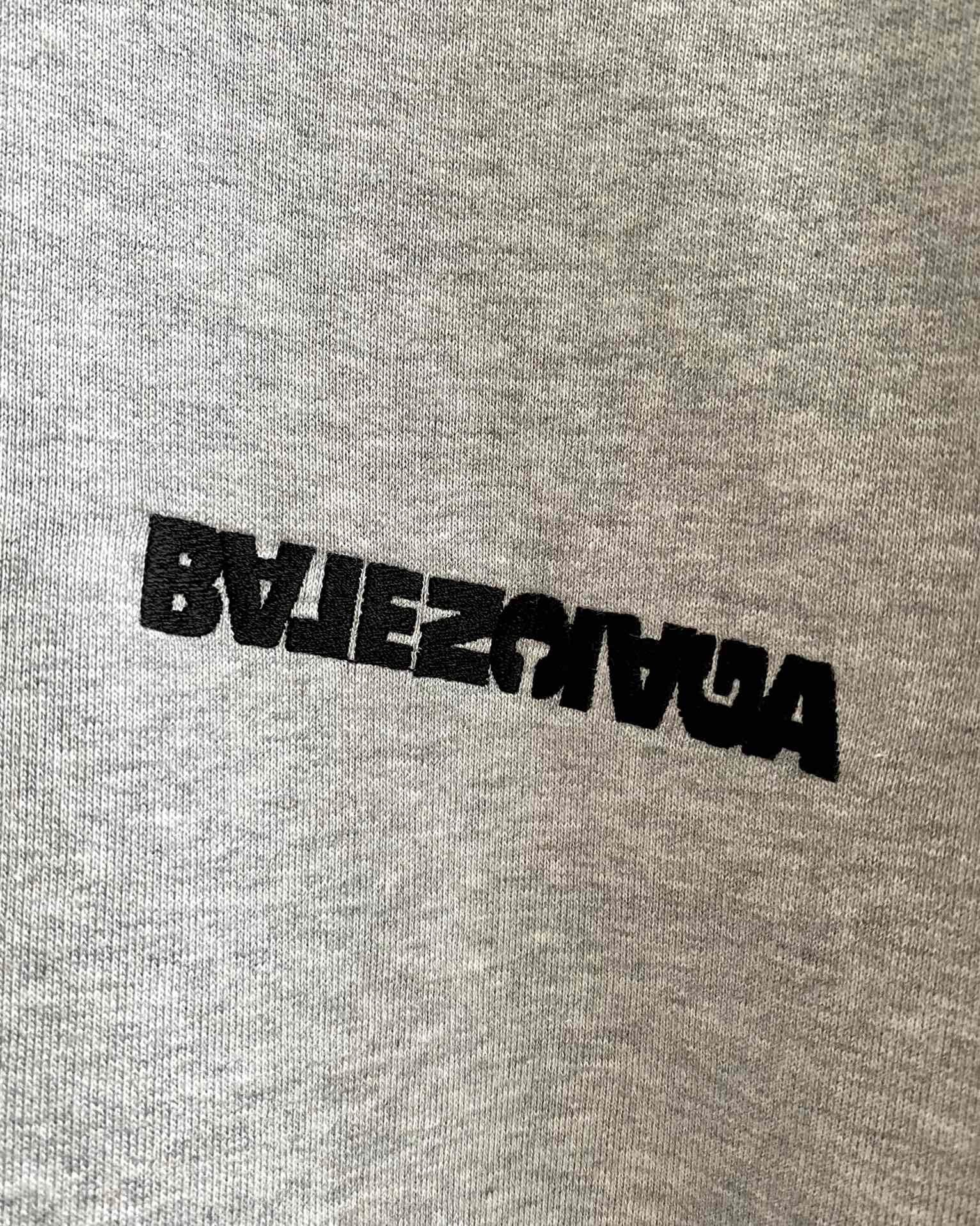Ba1en*iaga Hoodie