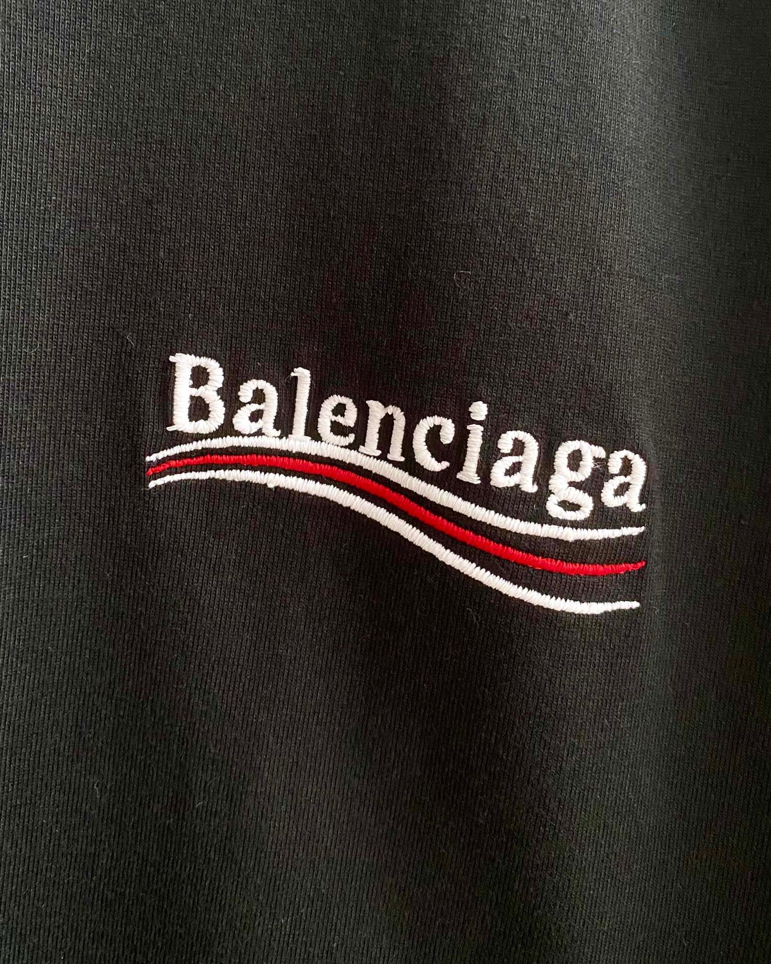 Ba1en*iaga T-shirt