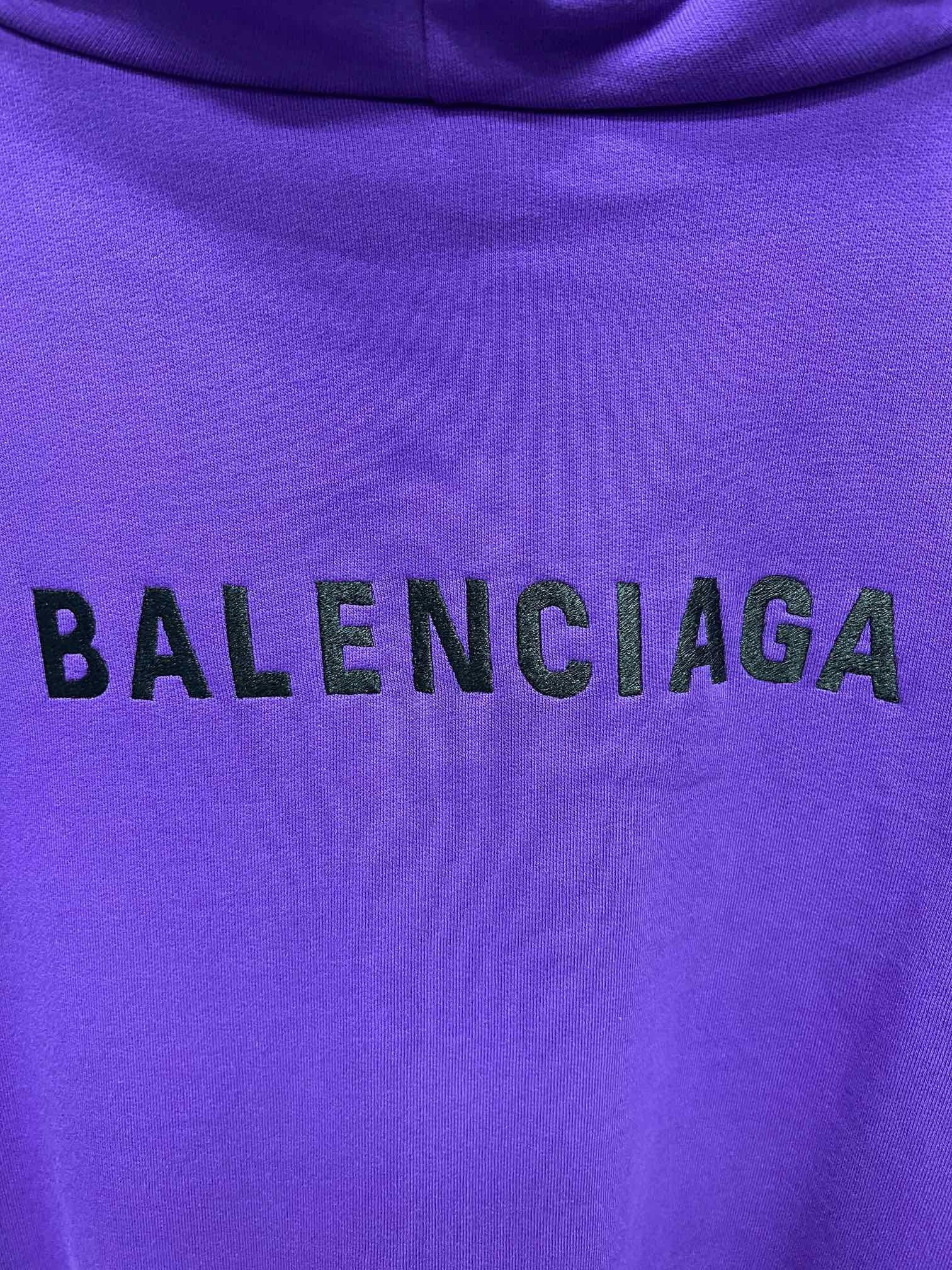 Ba1en*iaga Hoodie