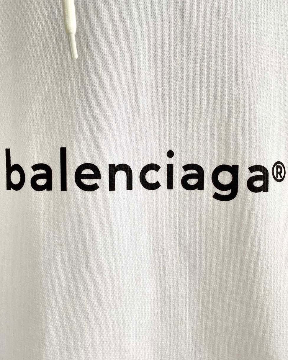 Ba1en*iaga Hoodie