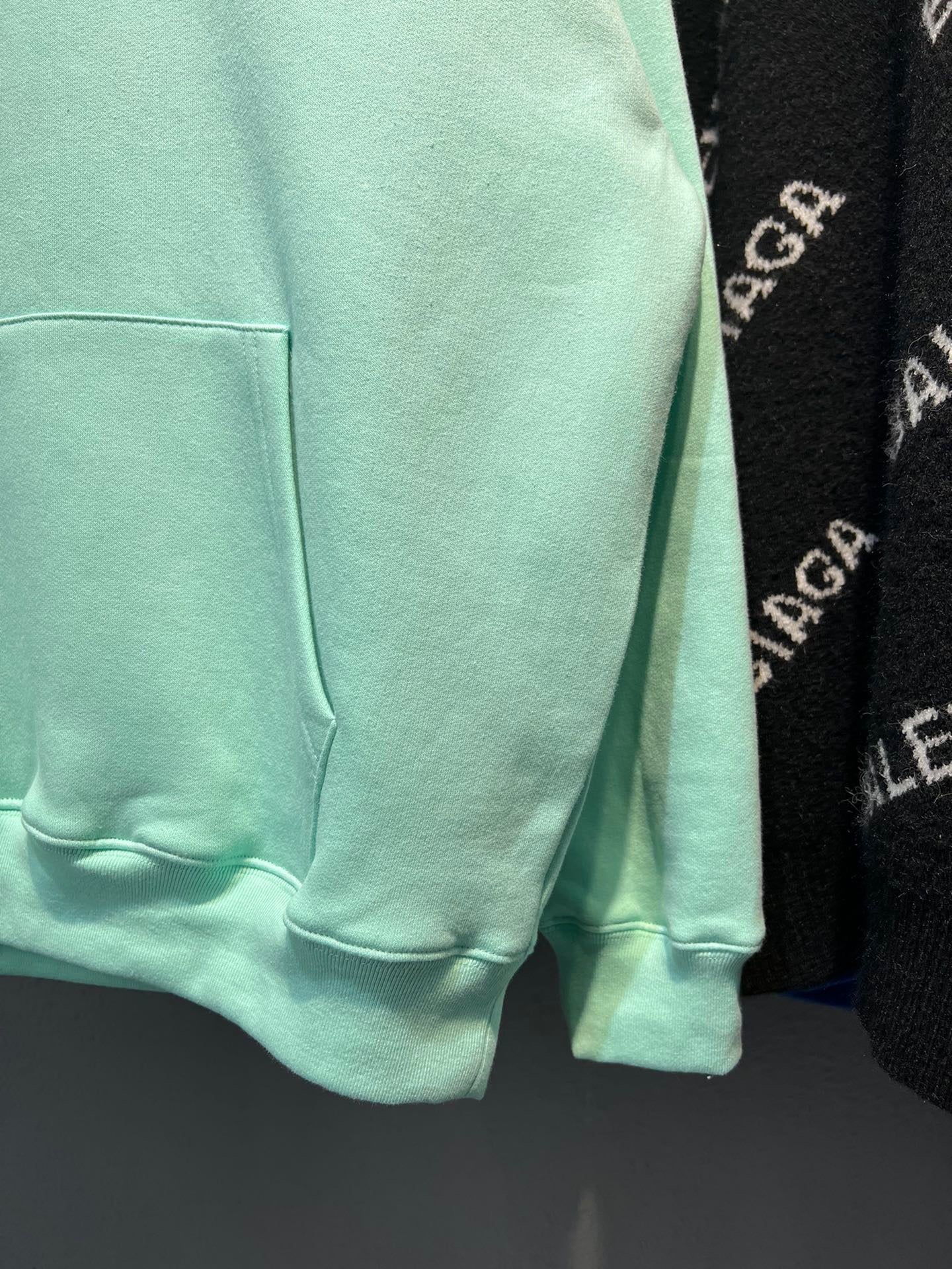 Ba1en*iaga Hoodie