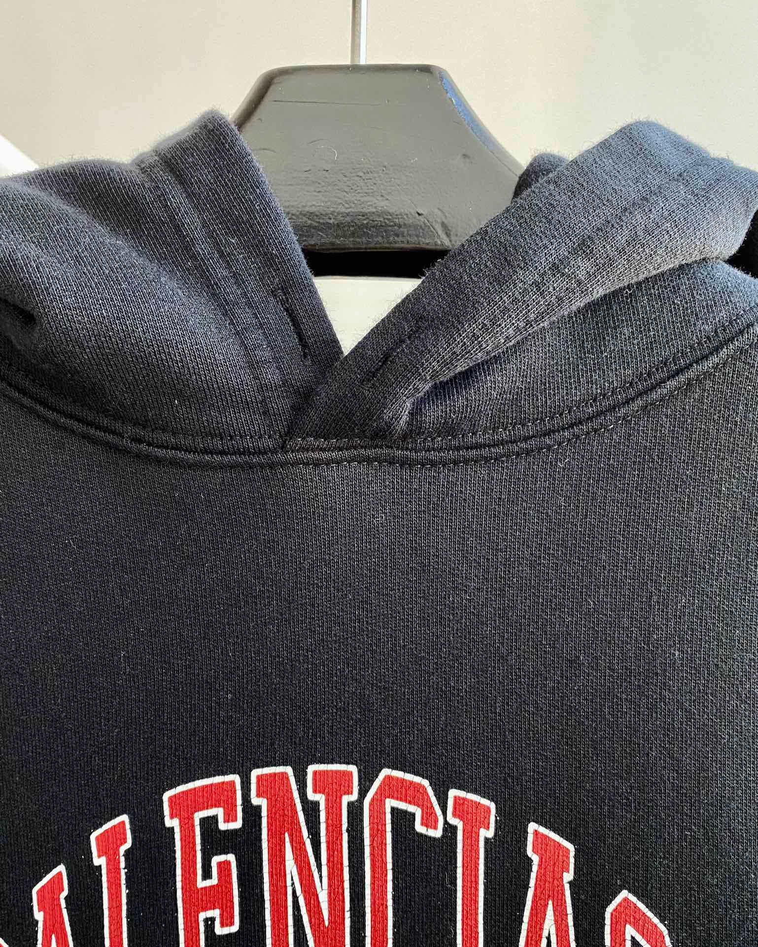 Ba1en*iaga Hoodie