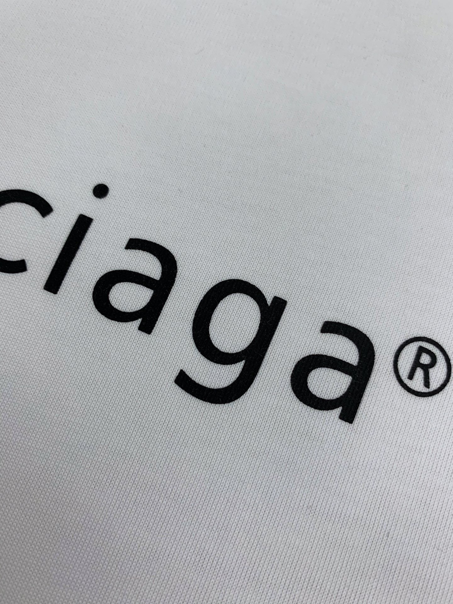 Ba1en*iaga T-shirt