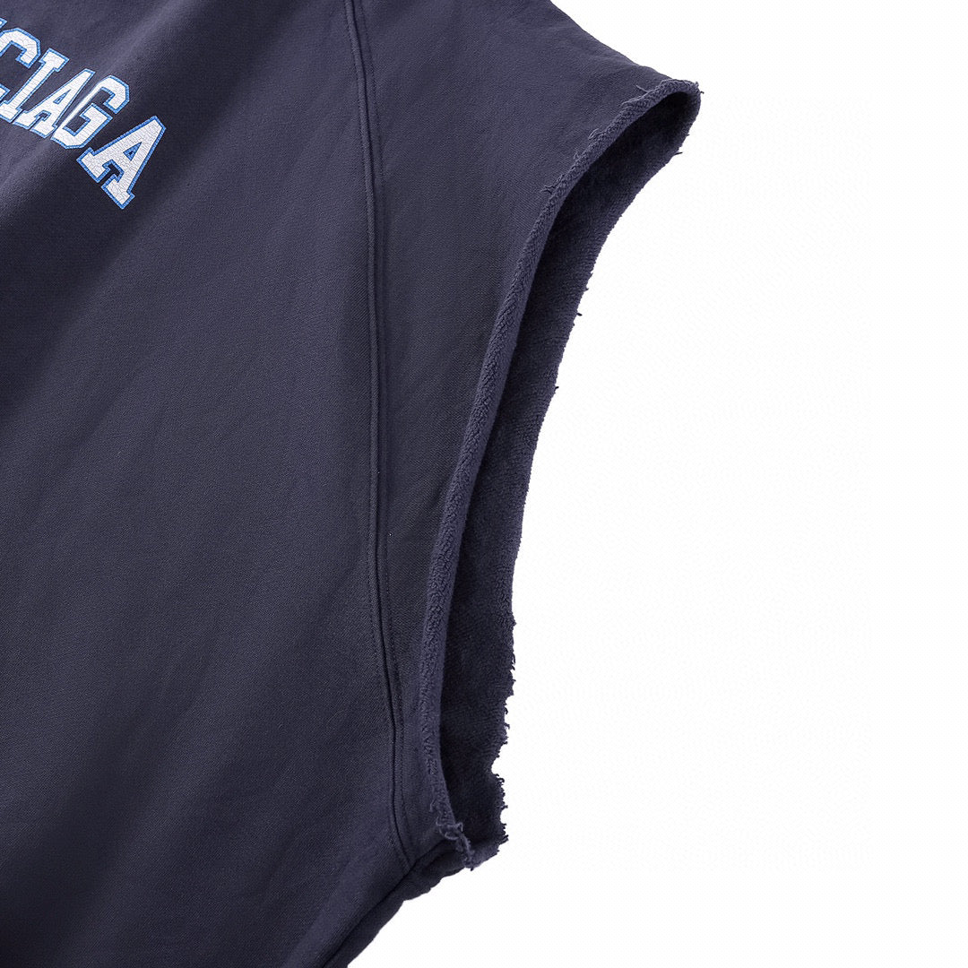 Ba1en*iaga Hoodie