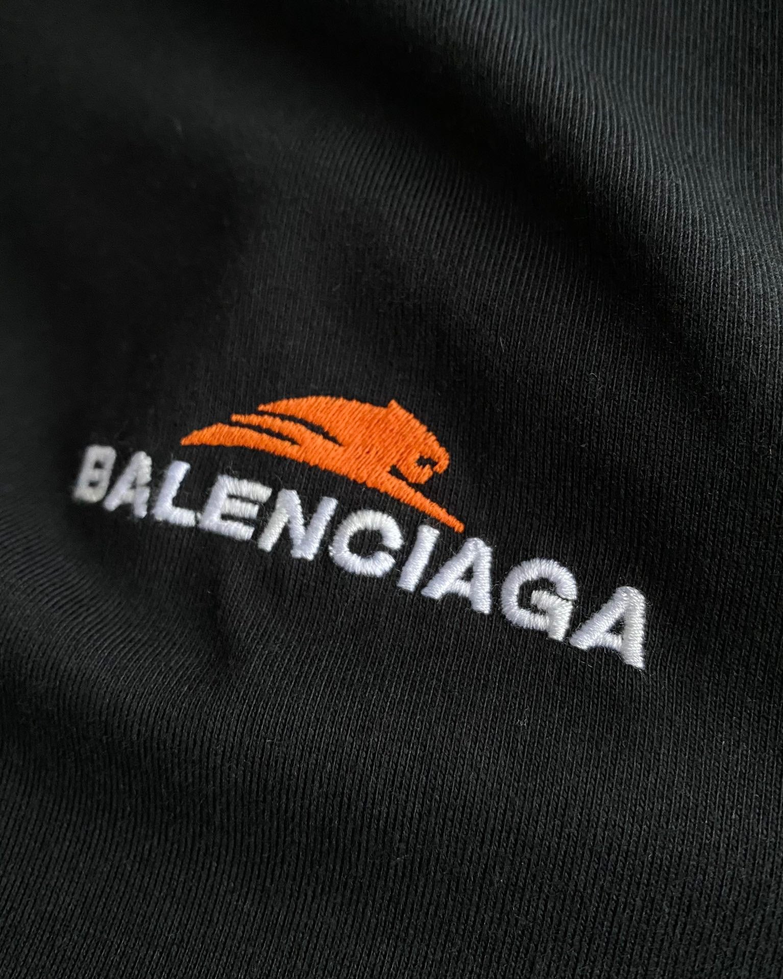 Ba1en*iaga T-shirt
