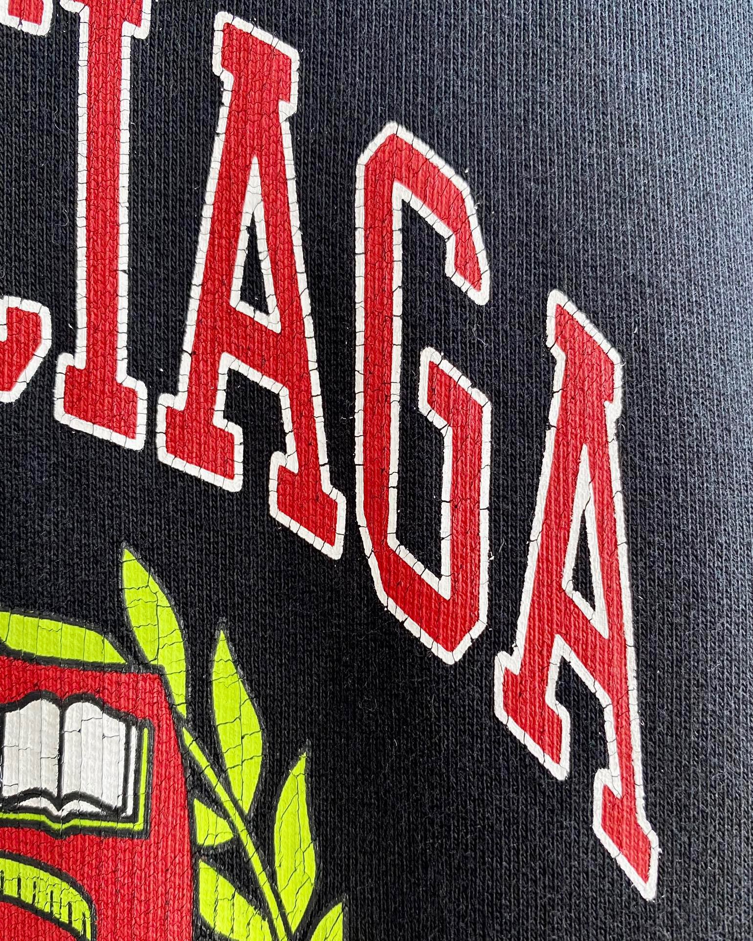 Ba1en*iaga Hoodie