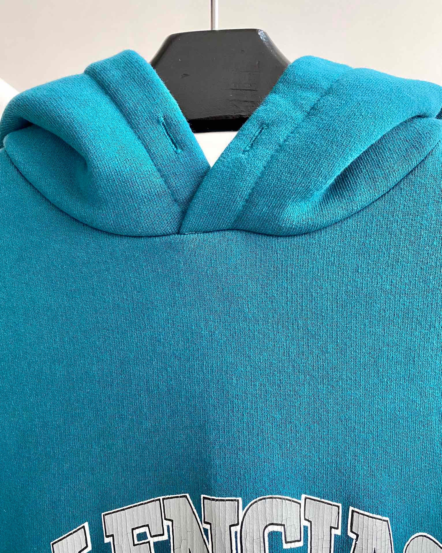 Ba1en*iaga Hoodie