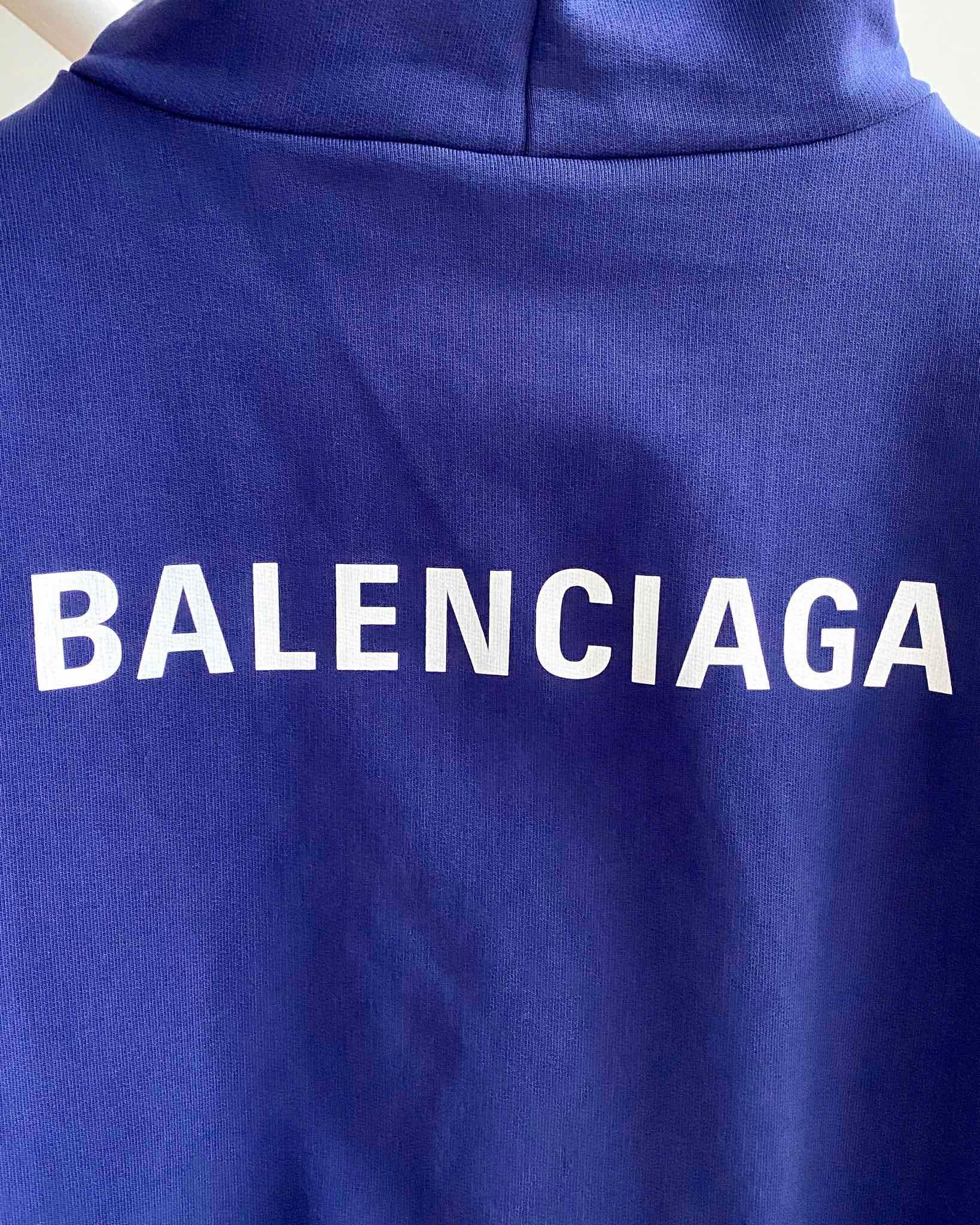 Ba1en*iaga Hoodie