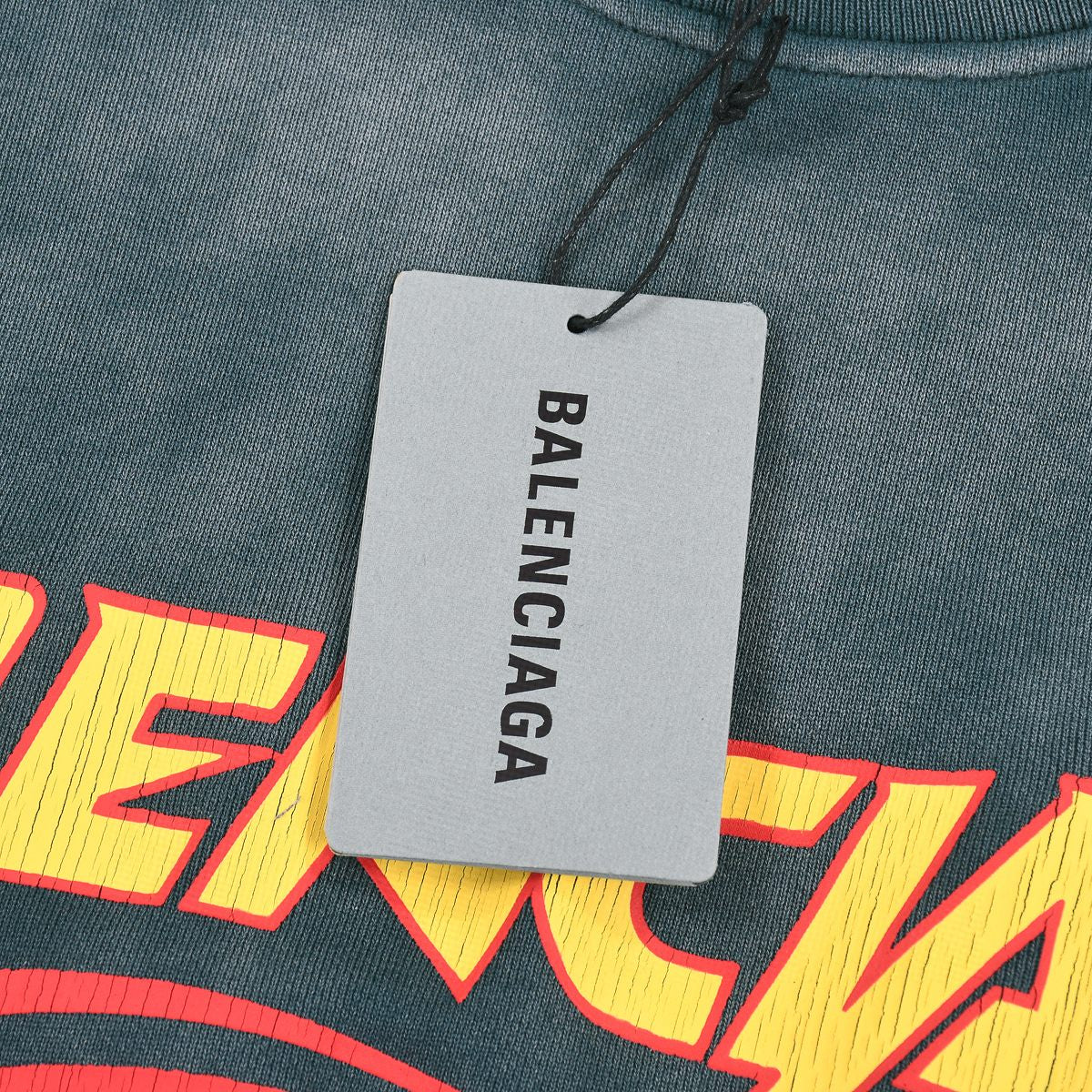 Ba1en*iaga Sweatshirt