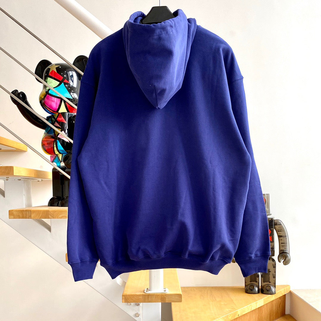 Ba1en*iaga Hoodie