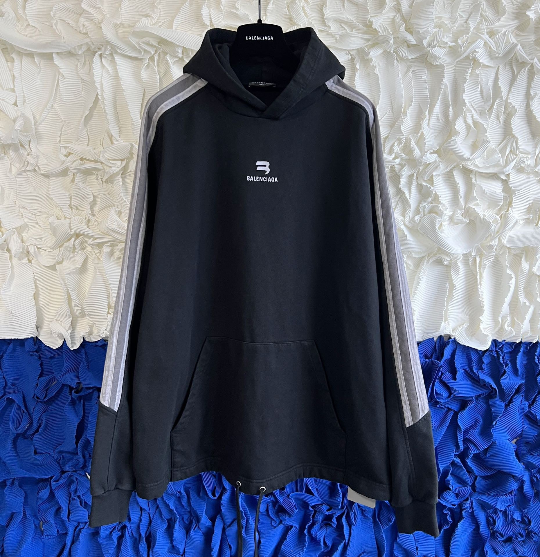 Ba1en*iaga Hoodie