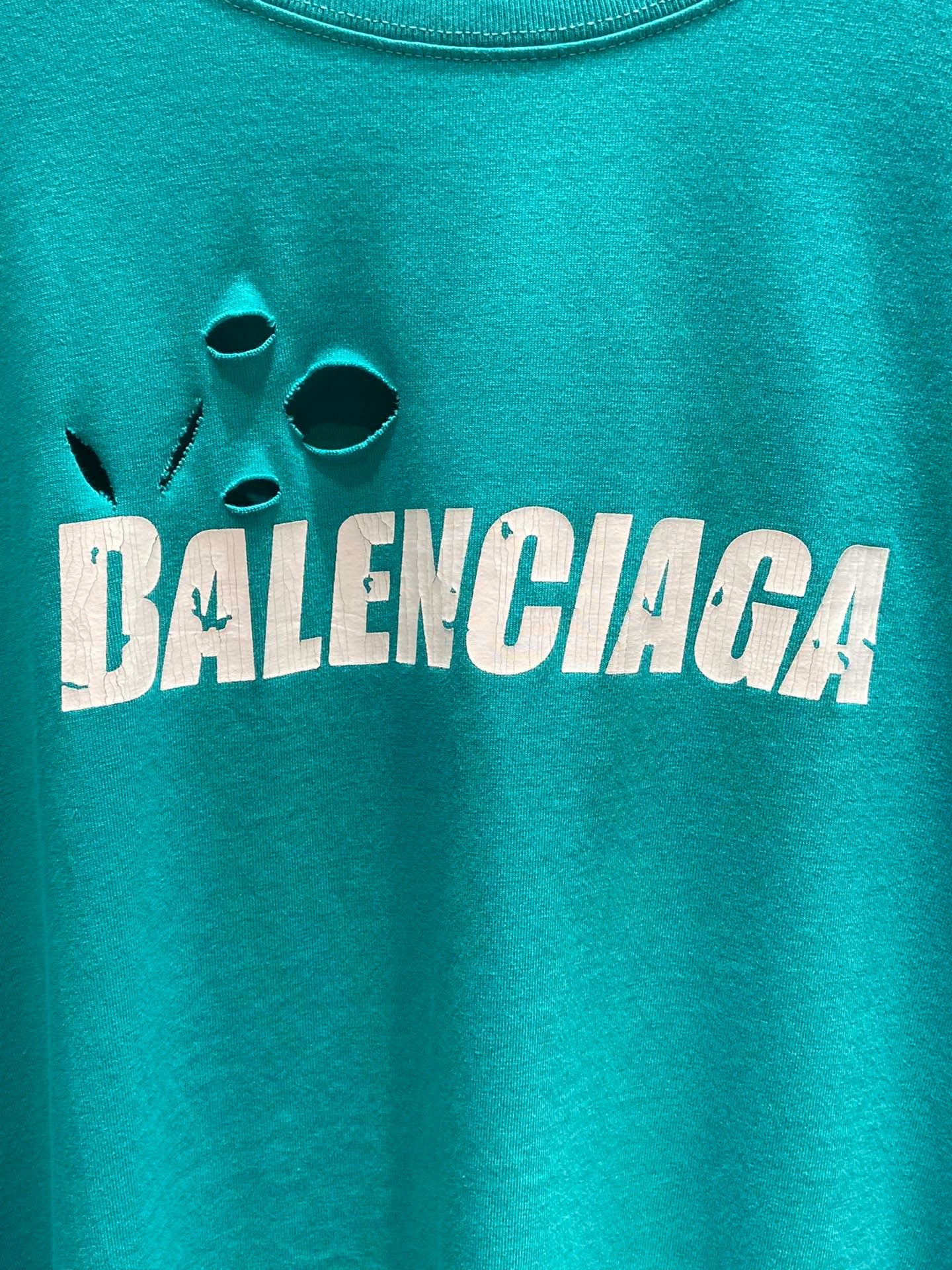 Ba1en*iaga T-shirt
