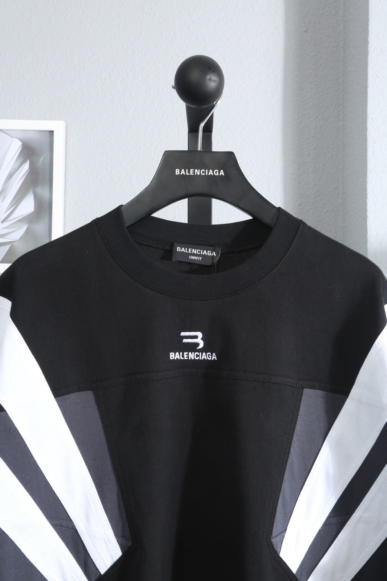 Ba1en*iaga T-shirt