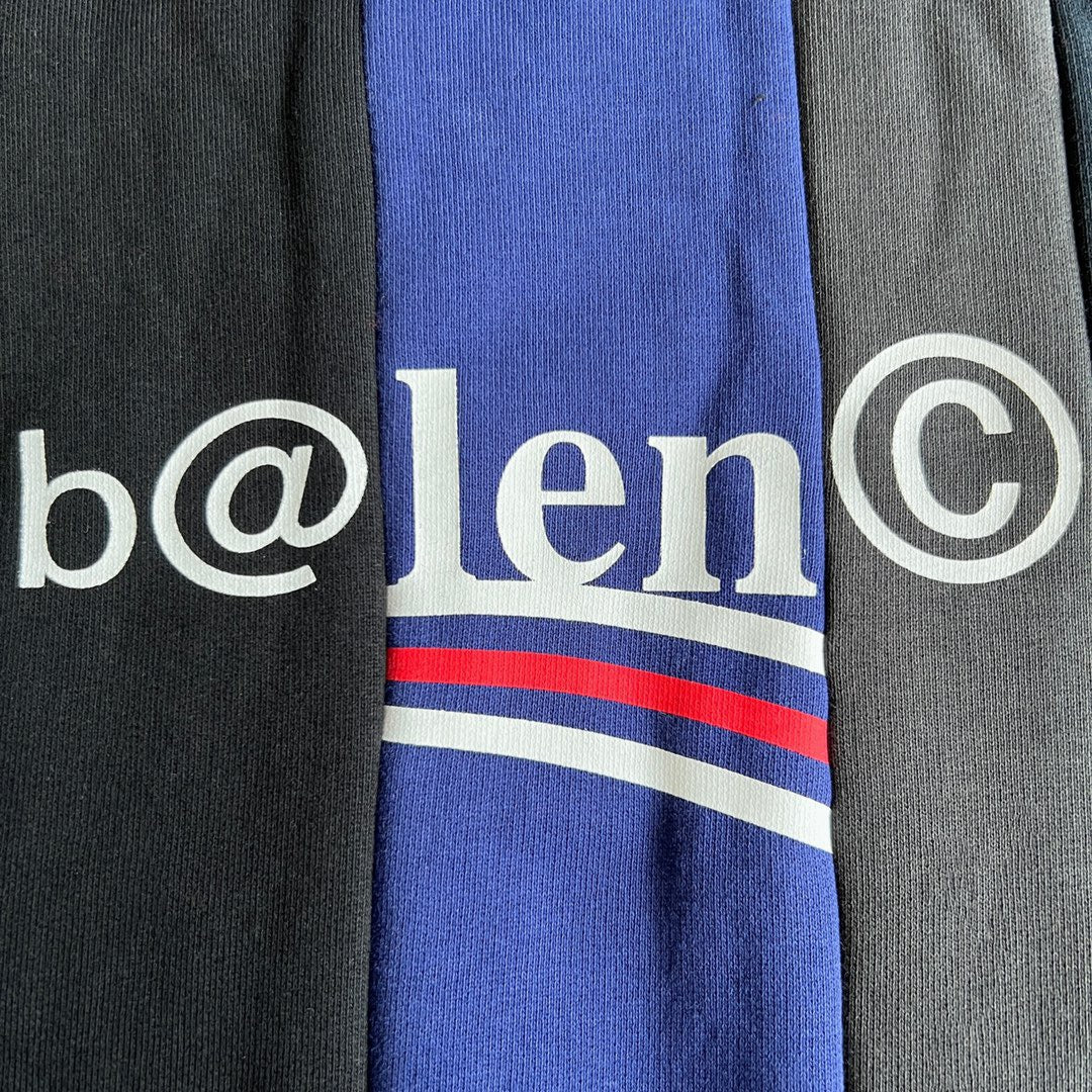 Ba1en*iaga Hoodie