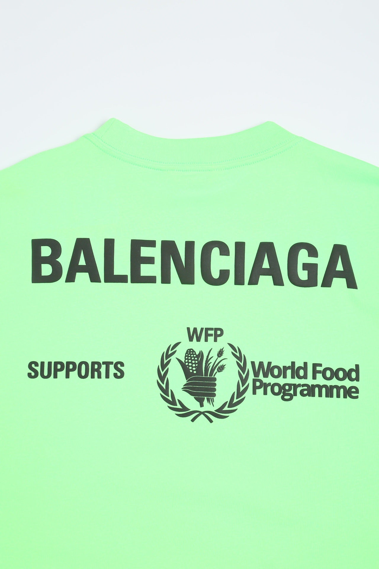 Ba1en*iaga T-shirt