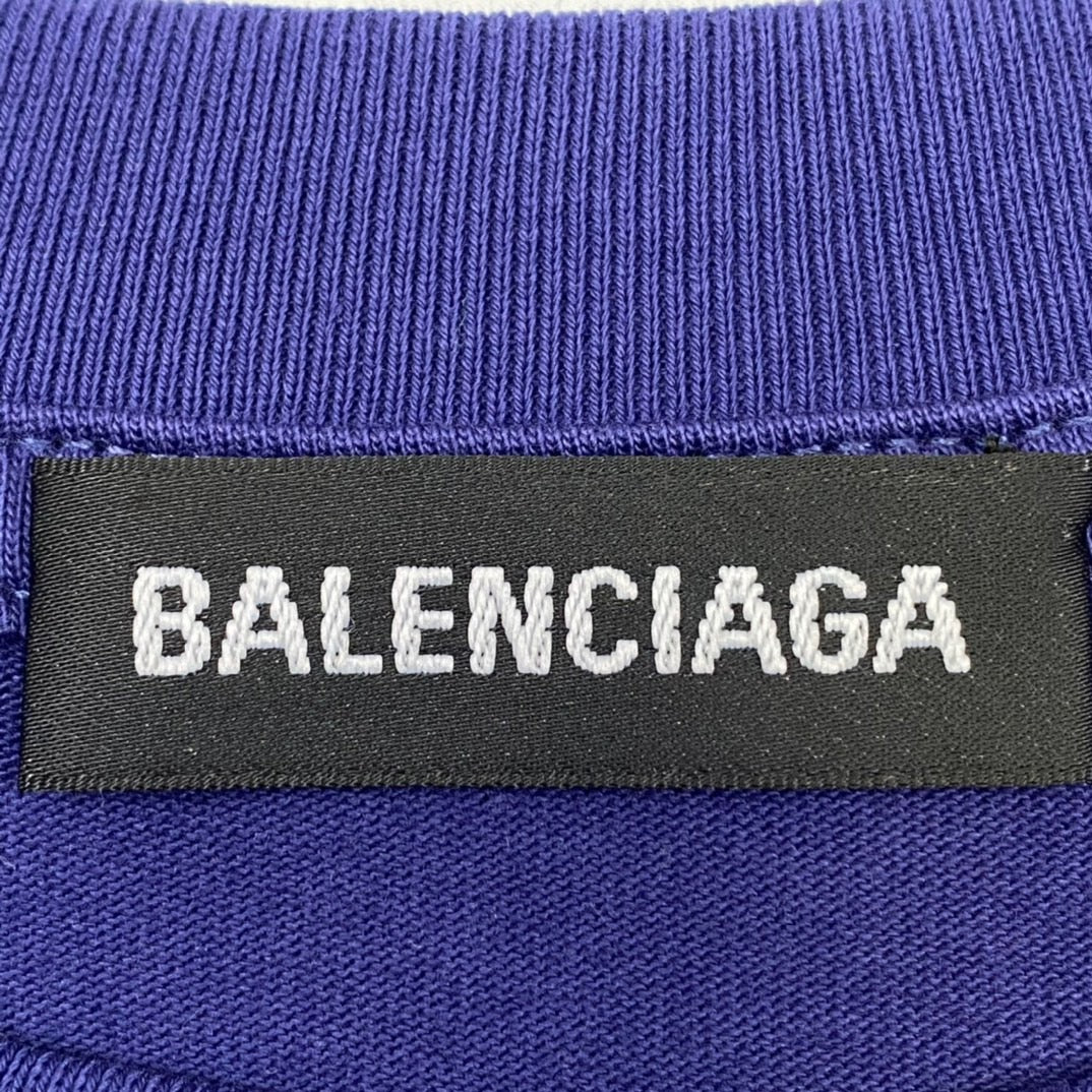 Ba1en*iaga T-shirt