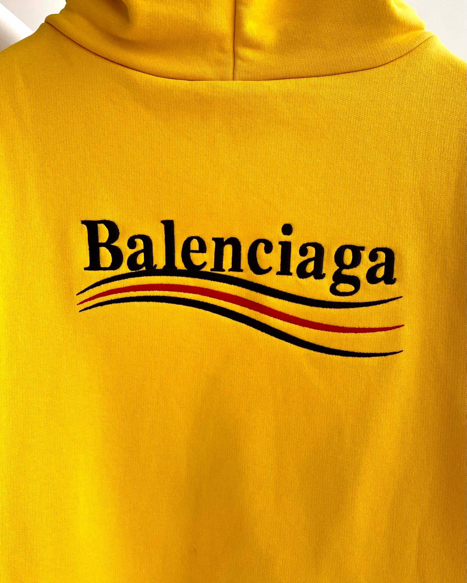 Ba1en*iaga Hoodie