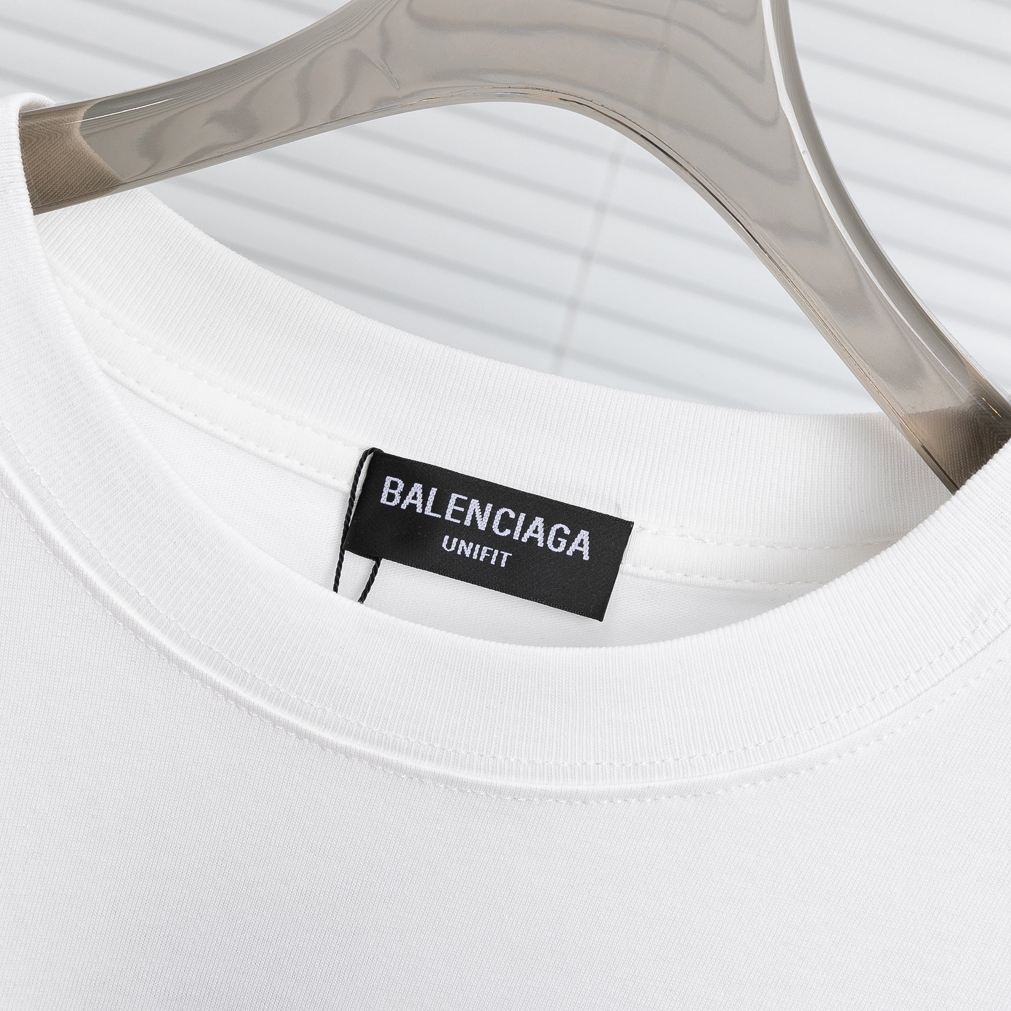 Ba1en*iaga T-shirt