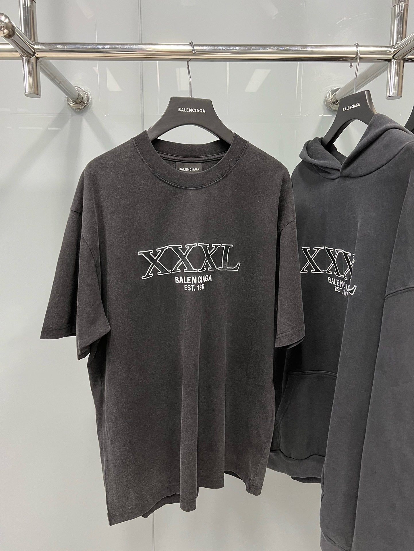 Ba1en*iaga T-shirt