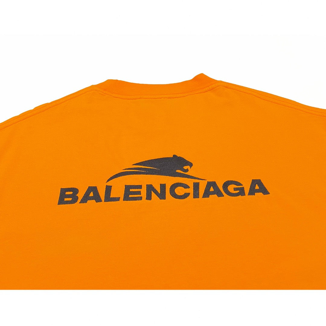 Ba1en*iaga T-shirt