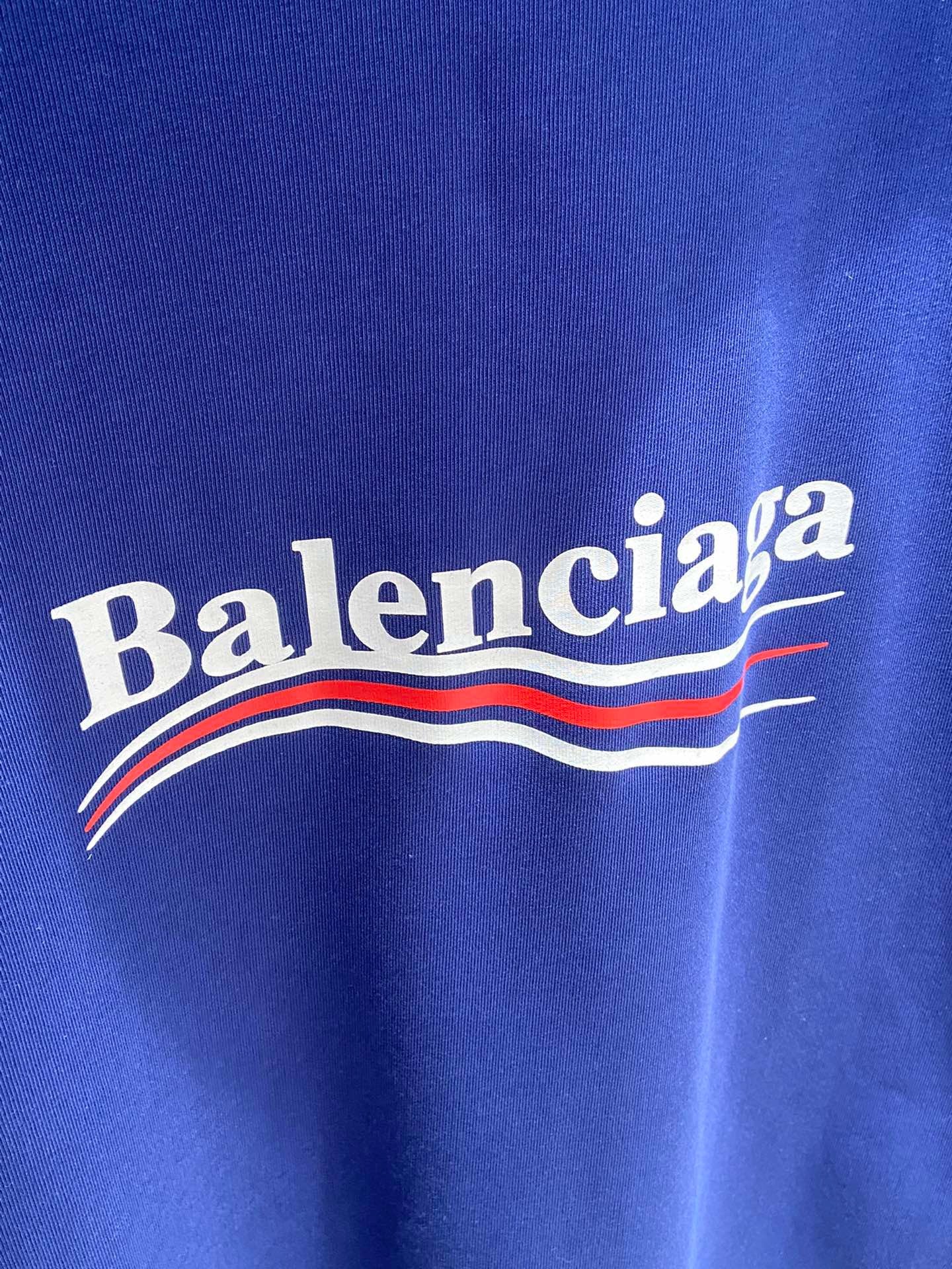 Ba1en*iaga Hoodie