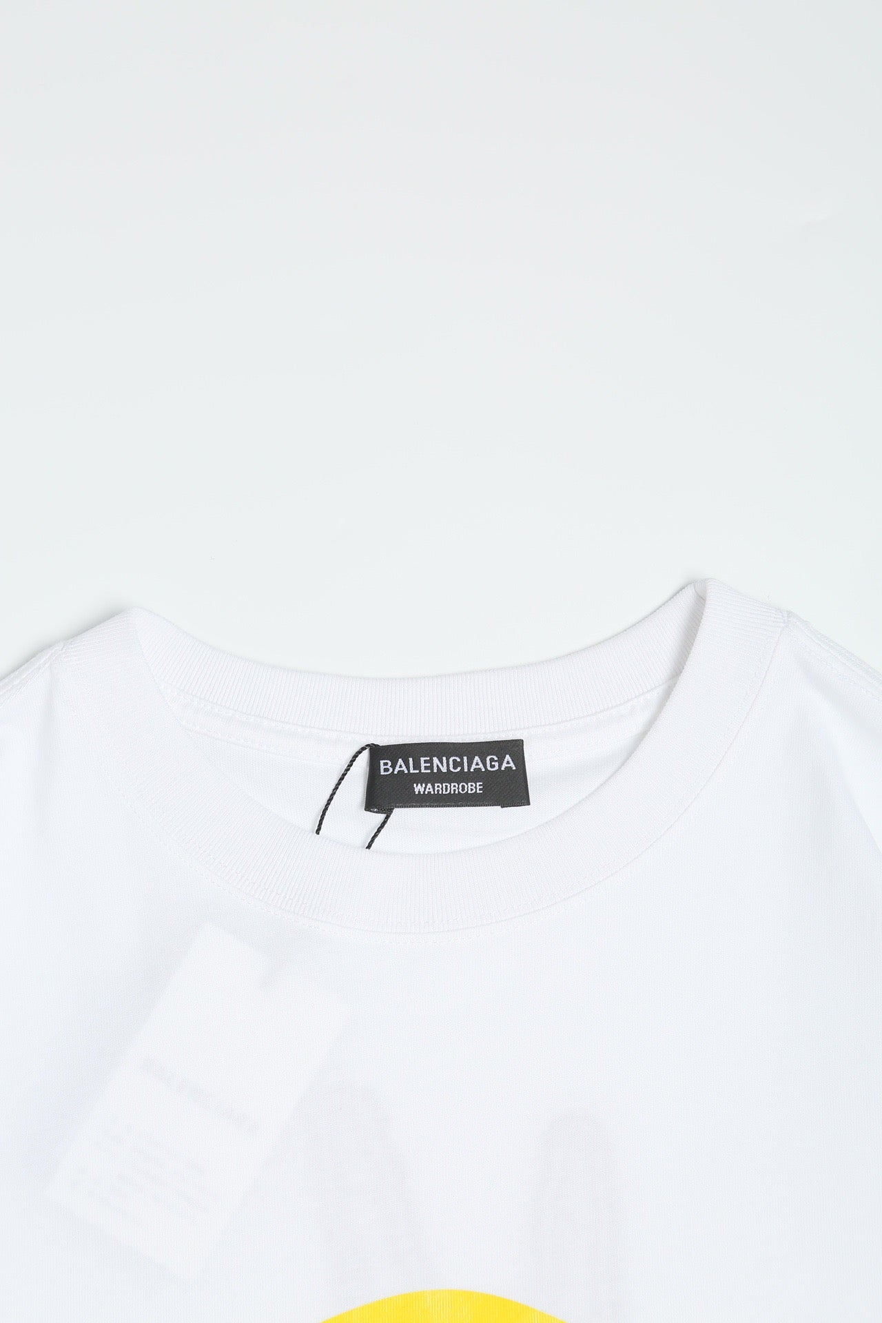 Ba1en*iaga T-shirt
