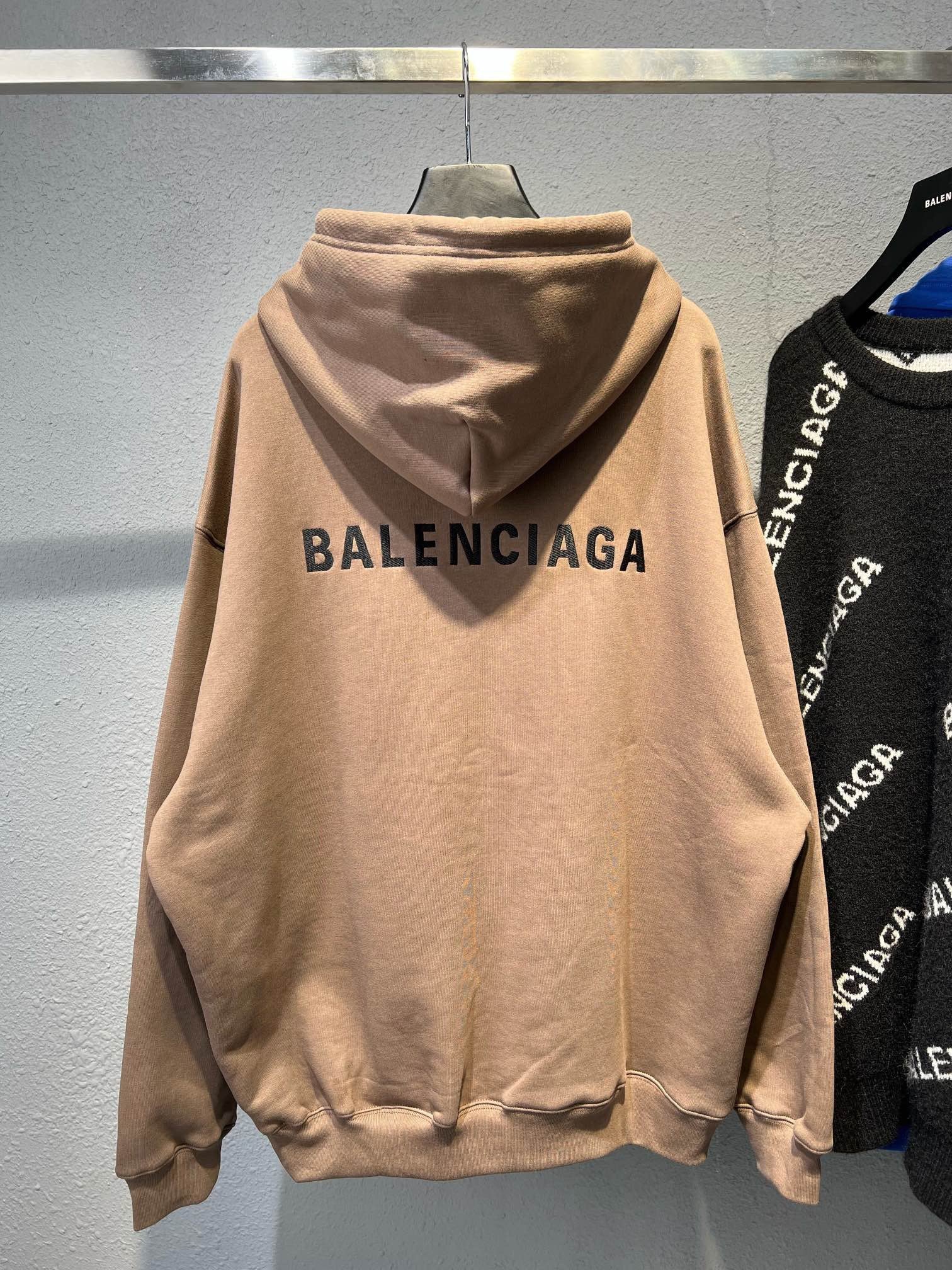 Ba1en*iaga Hoodie