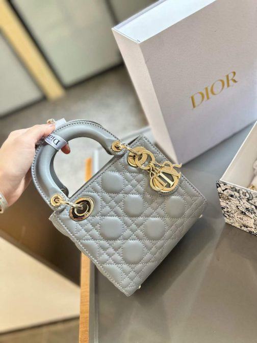 D10r Lady gray bag small size