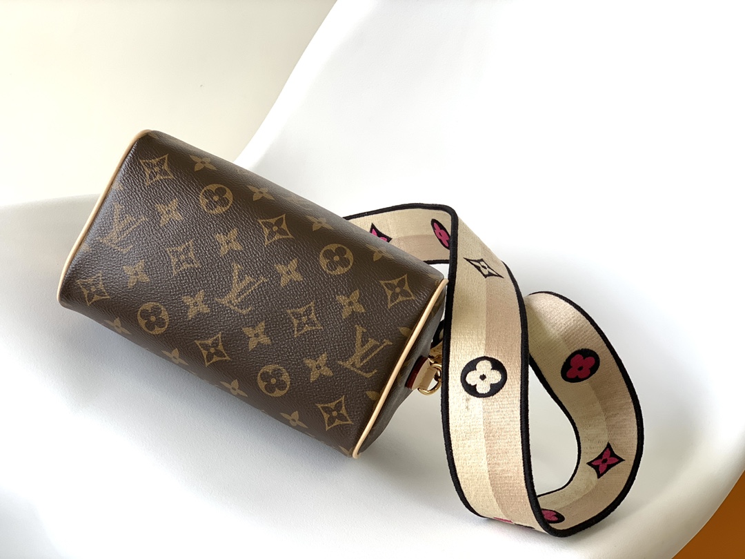 L0vis Vvtt0n Damier Ebene